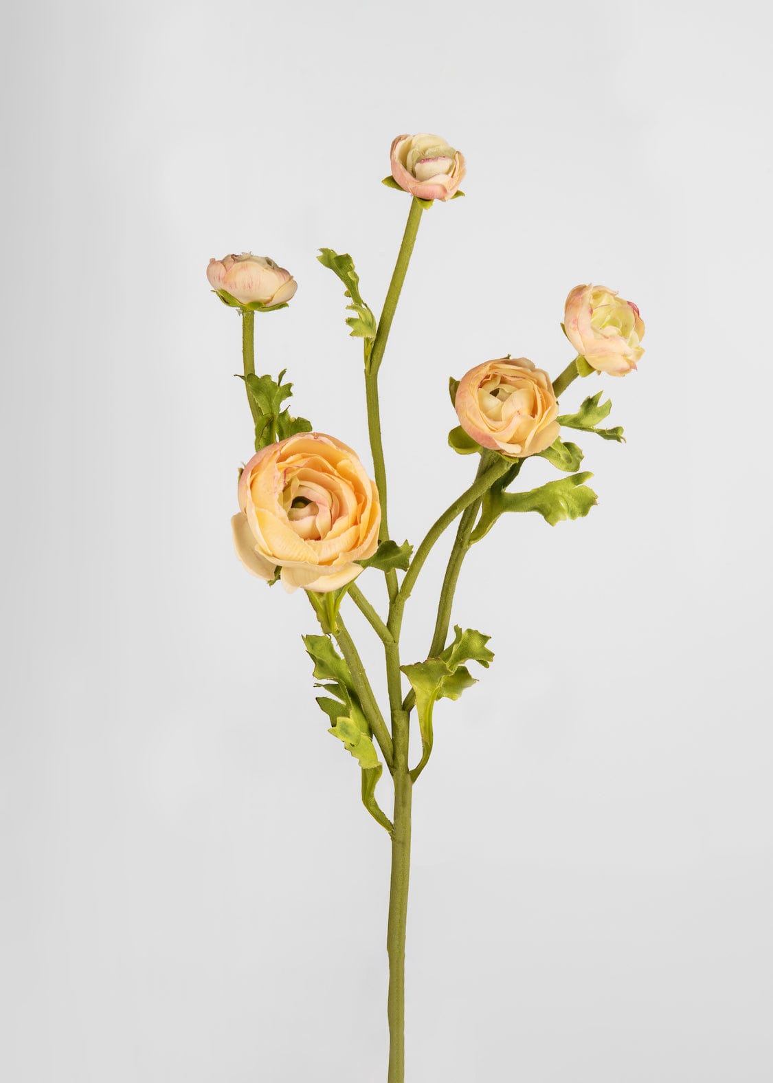 Pink Real Touch Artificial Ranunculus Bundle for Vase Styling