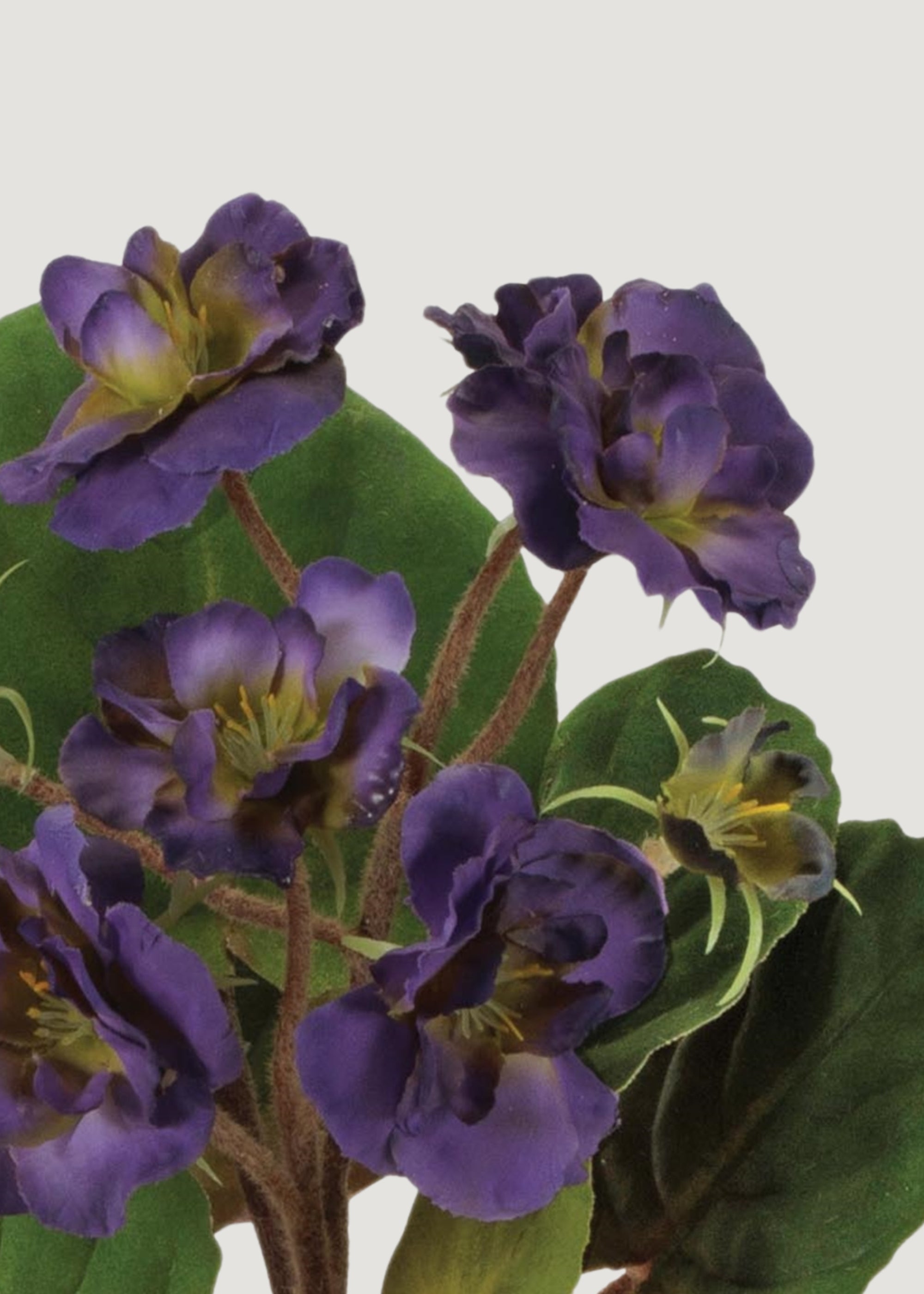 Purple Artificial Potted African Violet for Home Decor