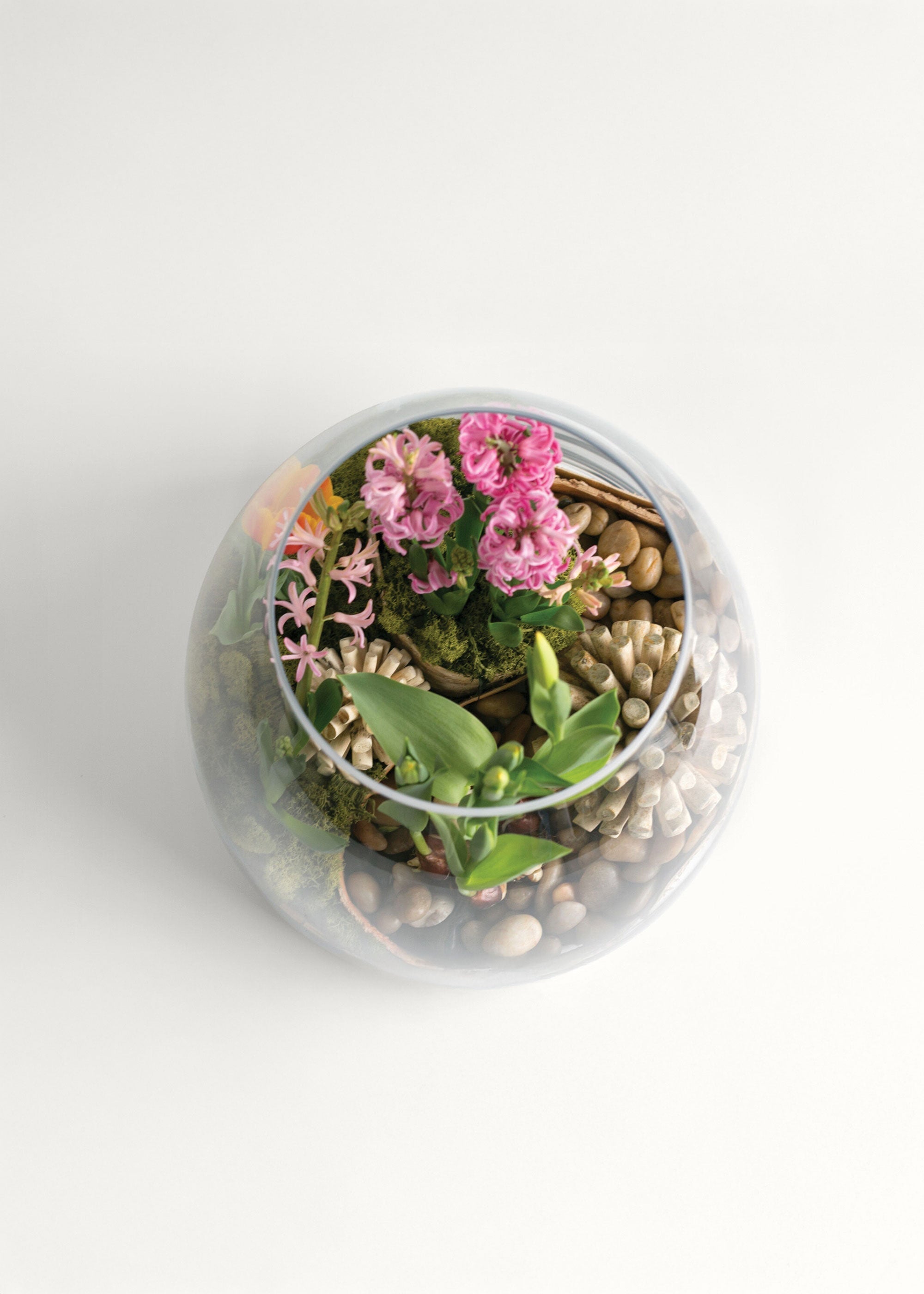 Clear Large Clear Glass Terrarium Vase for Table Centerpiece