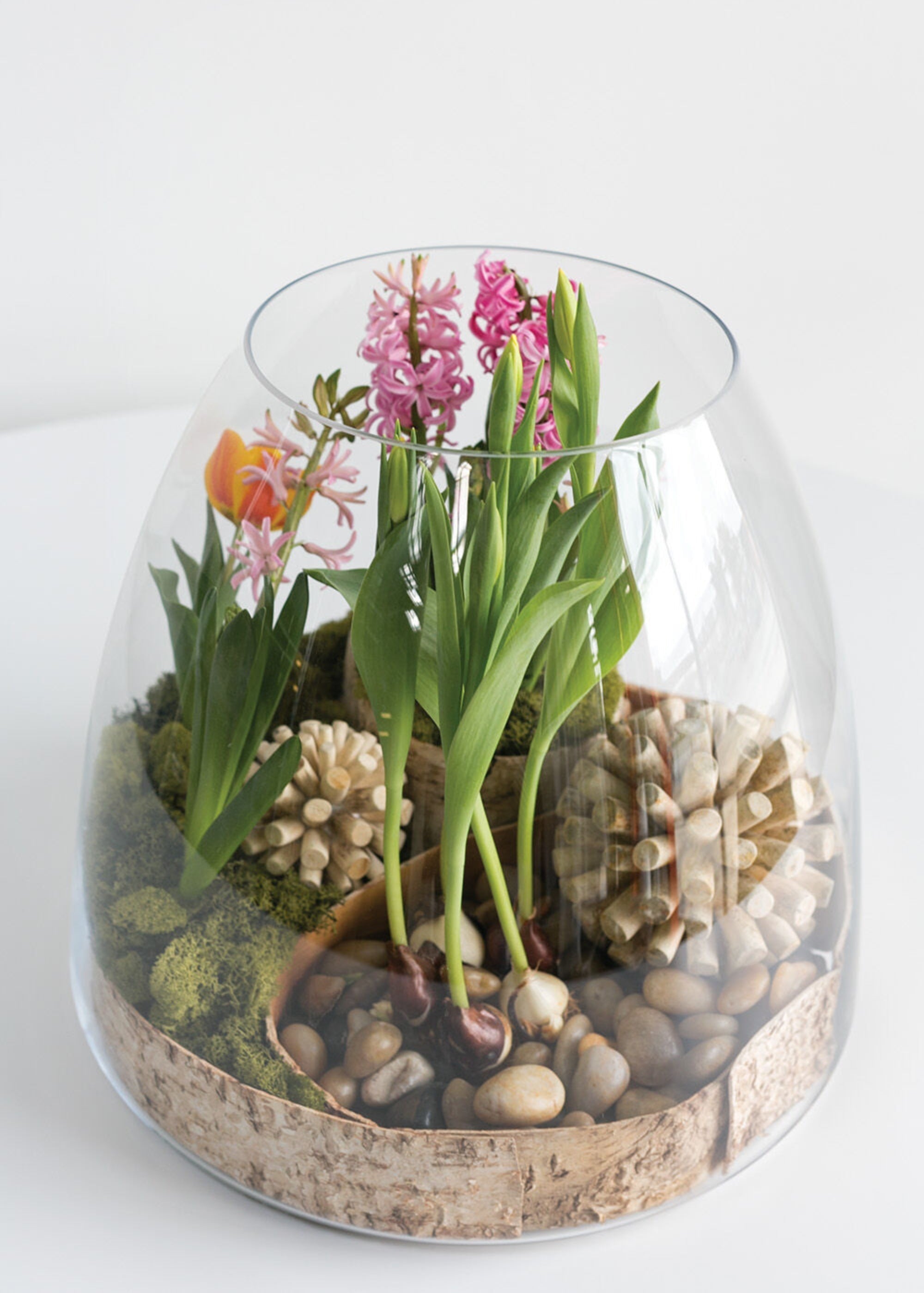 Clear Large Clear Glass Terrarium Vase for Entryway Arrangement
