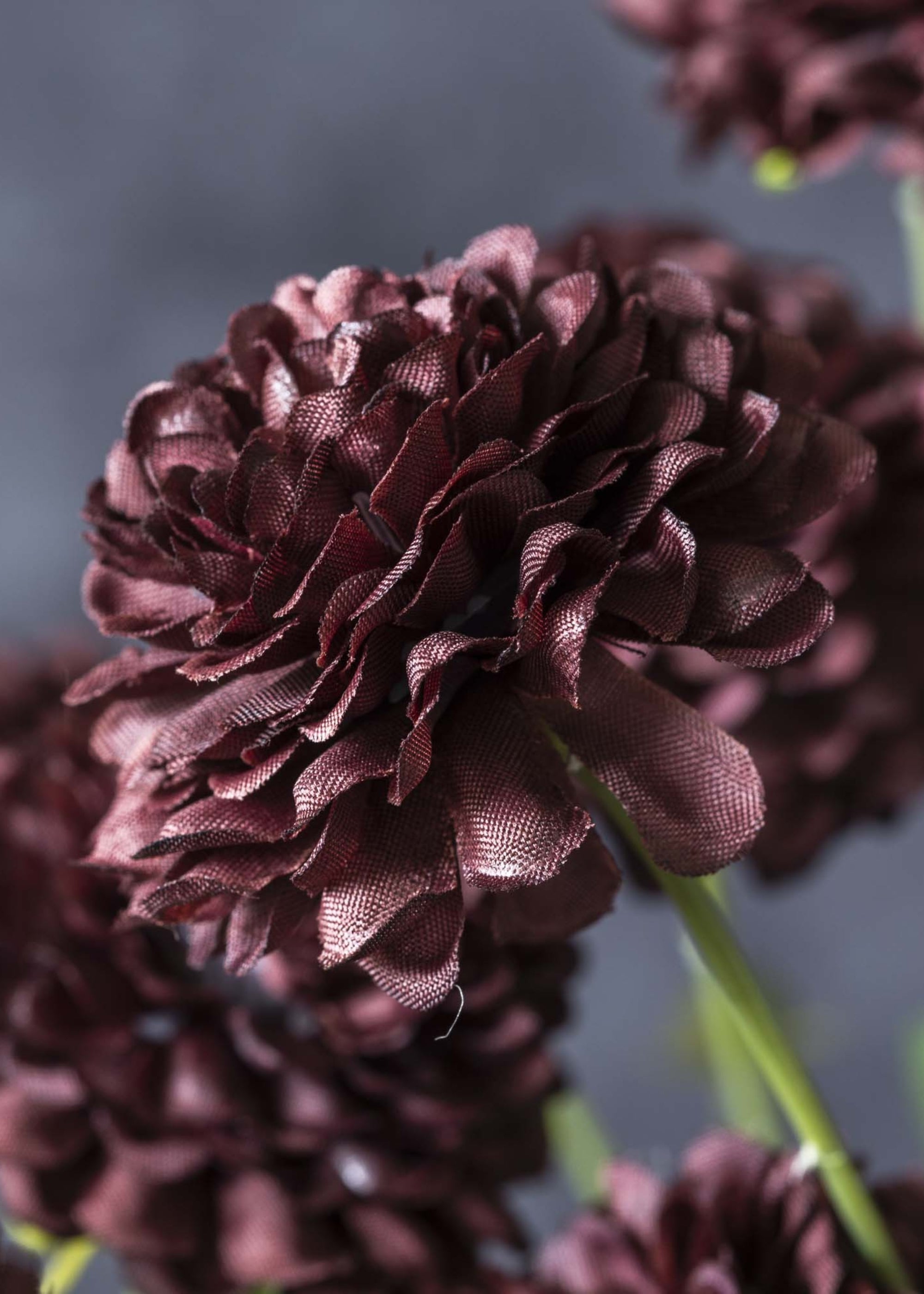Deep purple faux flower stem styled for moody home decor