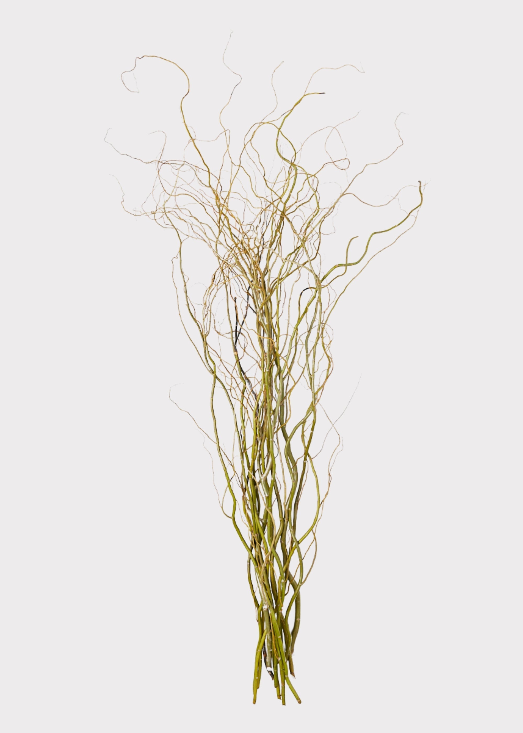 Green Artificial Willow Branch for Home Decor