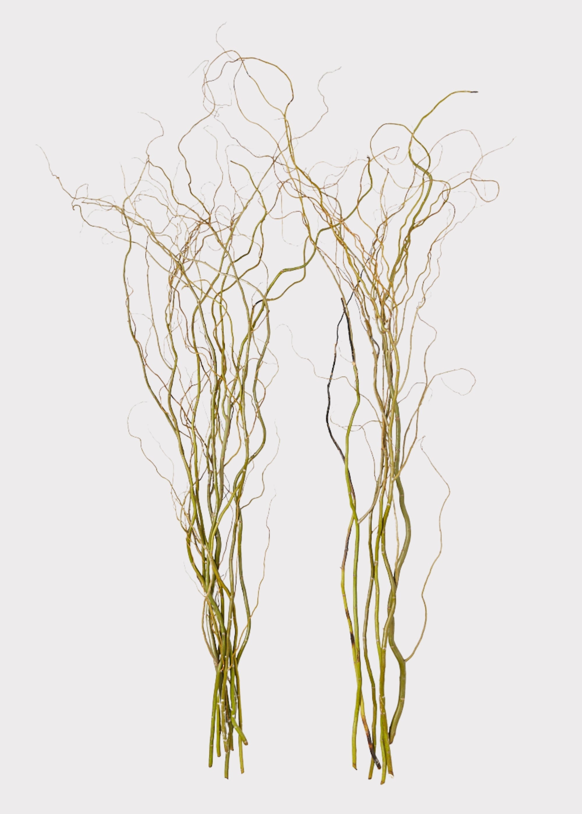 Green Artificial Willow Branch for Wedding Decor