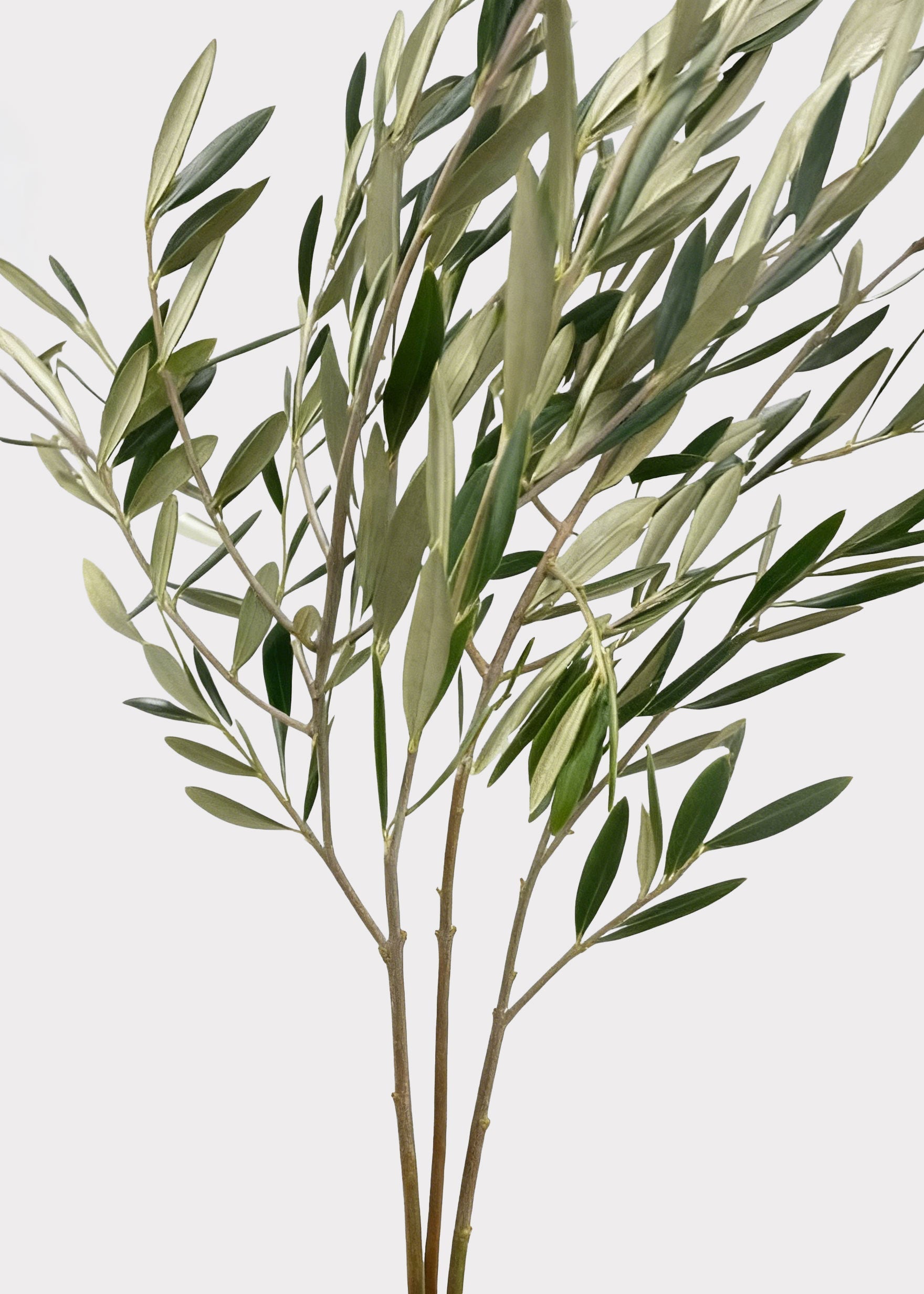 Green Artificial Olive Branch for Vase Styling