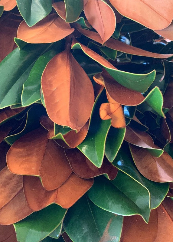 Green Artificial Magnolia Bundle for Home Decor