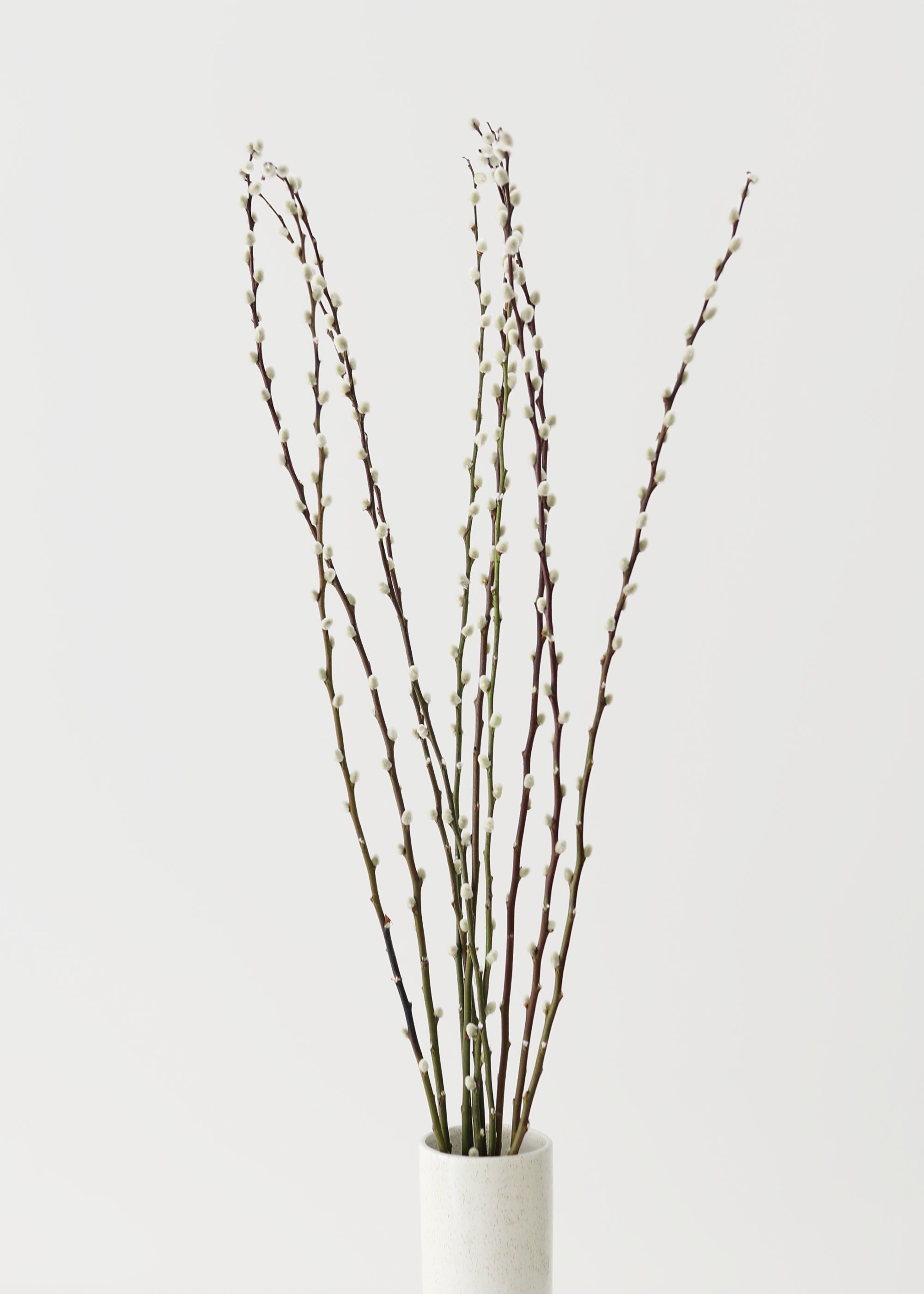 Green Artificial Willow Branch for Wedding Decor