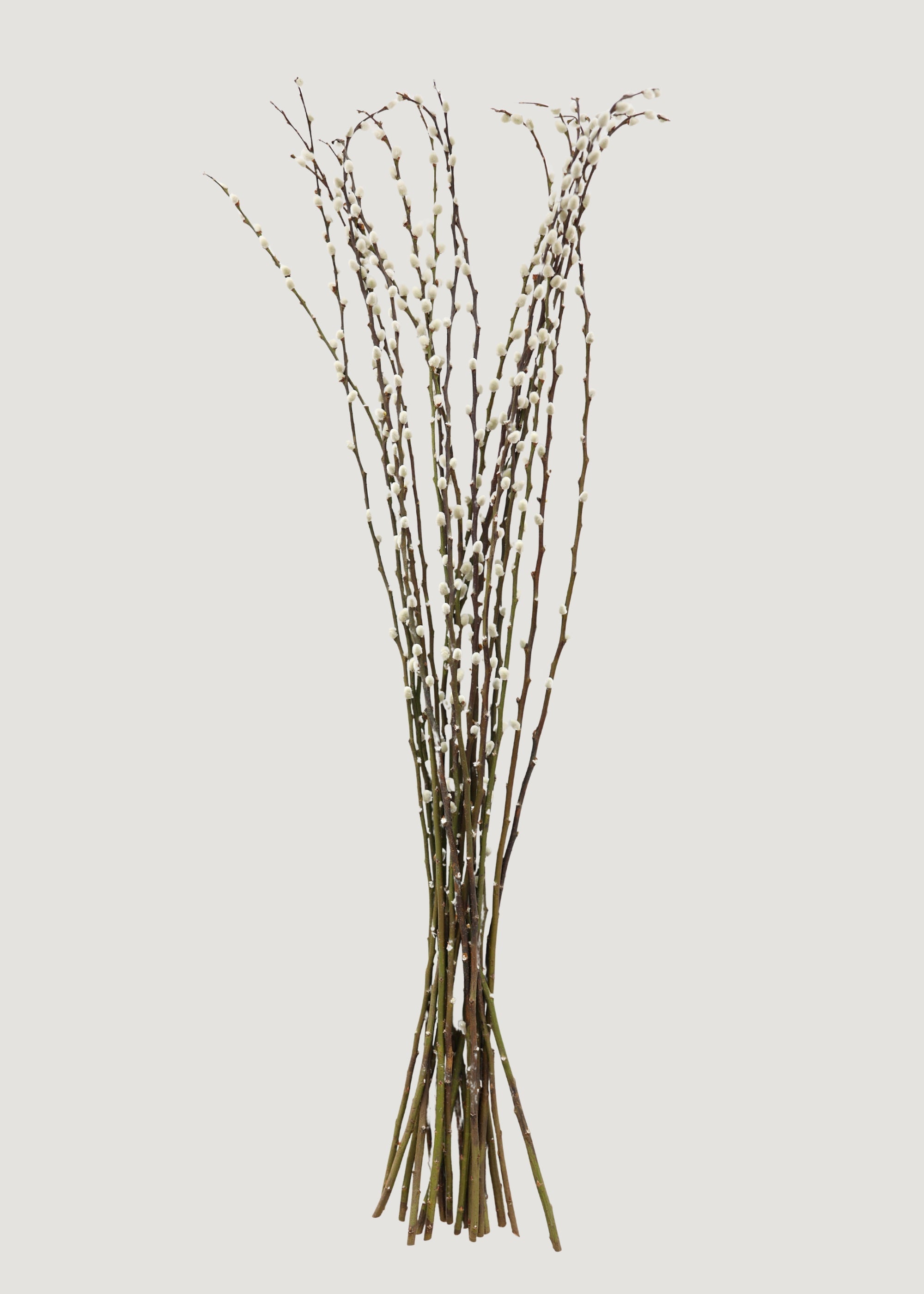 Green Artificial Willow Branch for Vase Styling