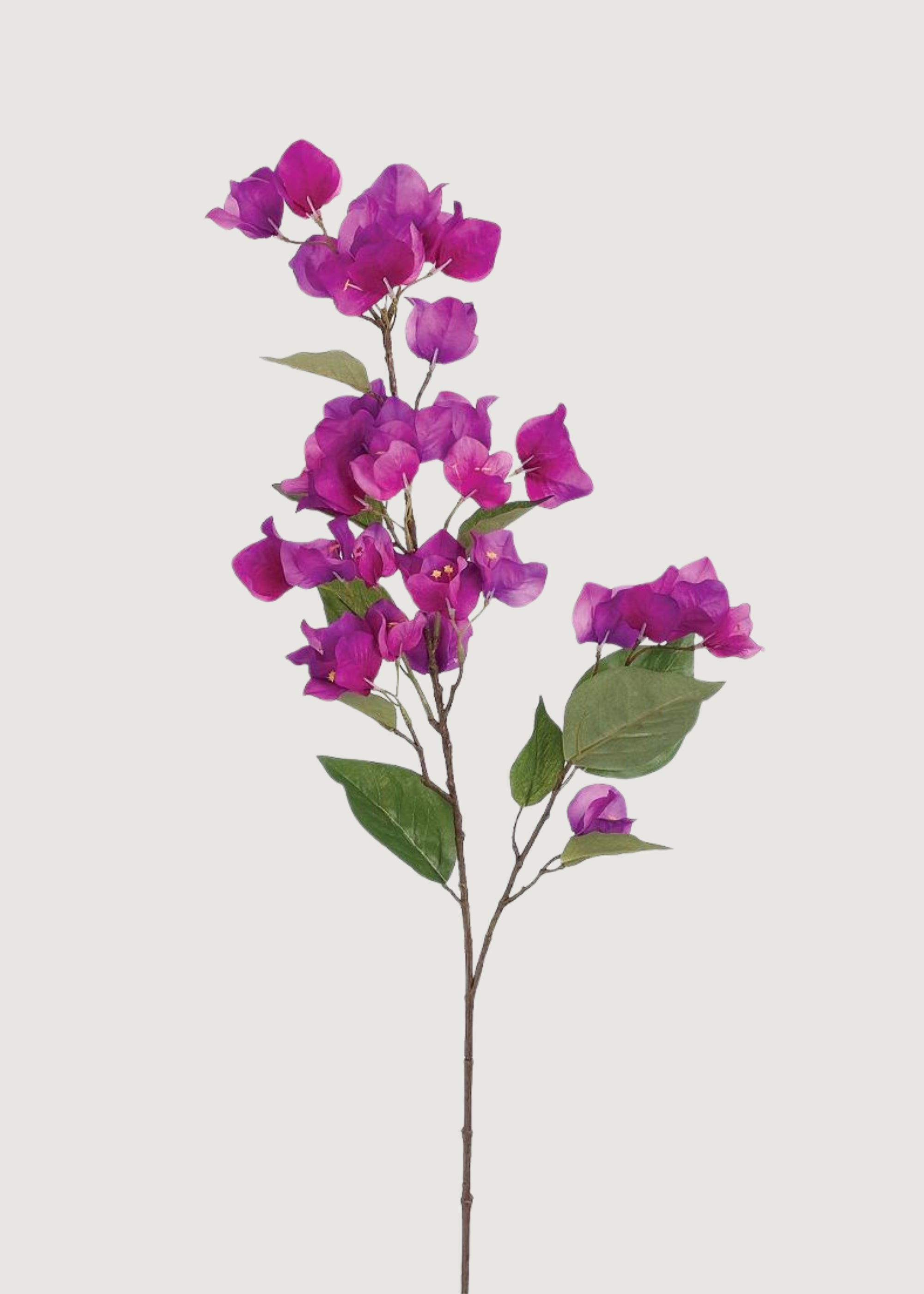 Purple Artificial Bougainvillea Branch for Vase Styling