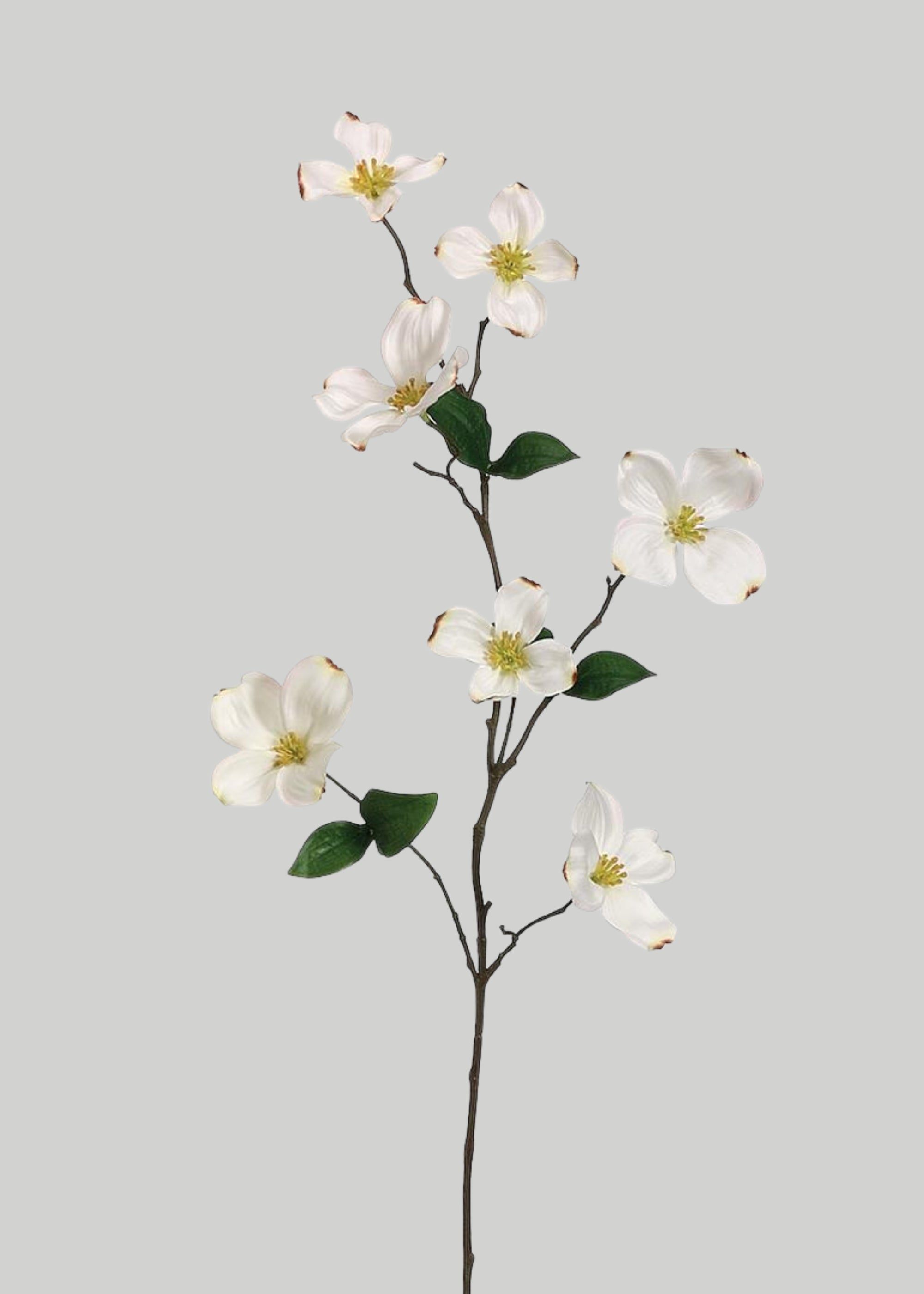 Cream Artificial Dogwood Branch for Vase Styling