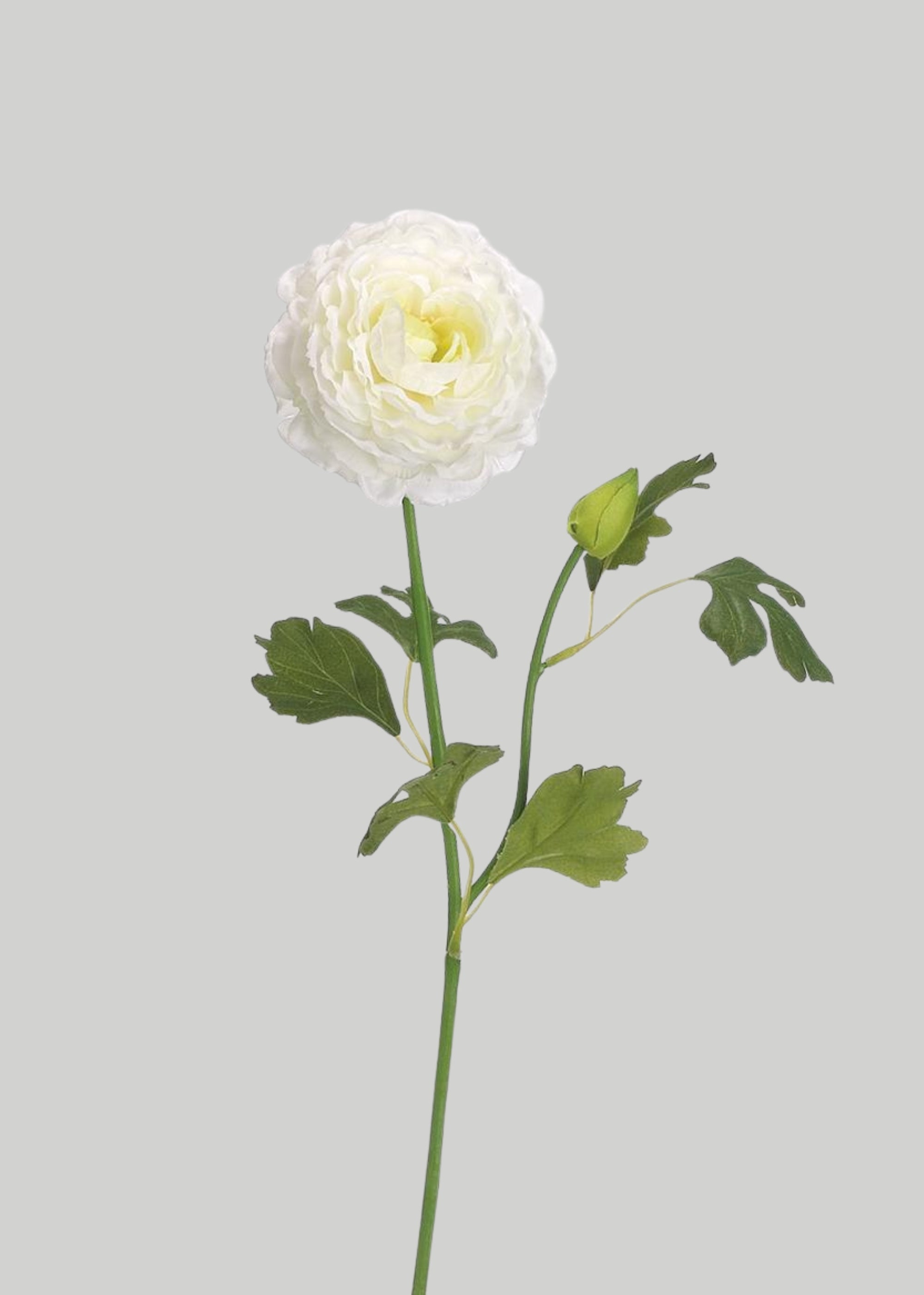 Cream Artificial Ranunculus Stem for Vase Styling
