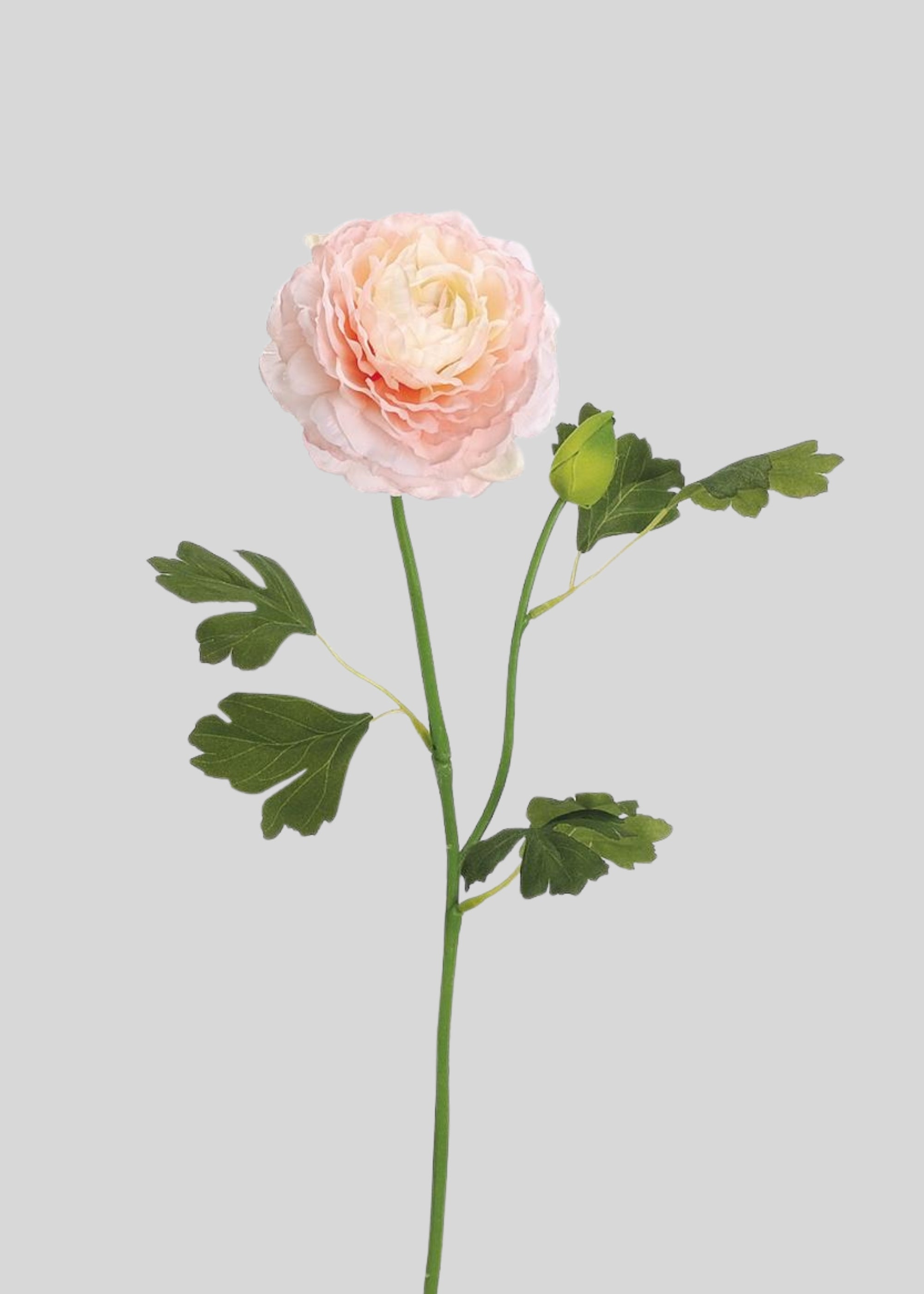 Pink Artificial Ranunculus Stem for Vase Styling