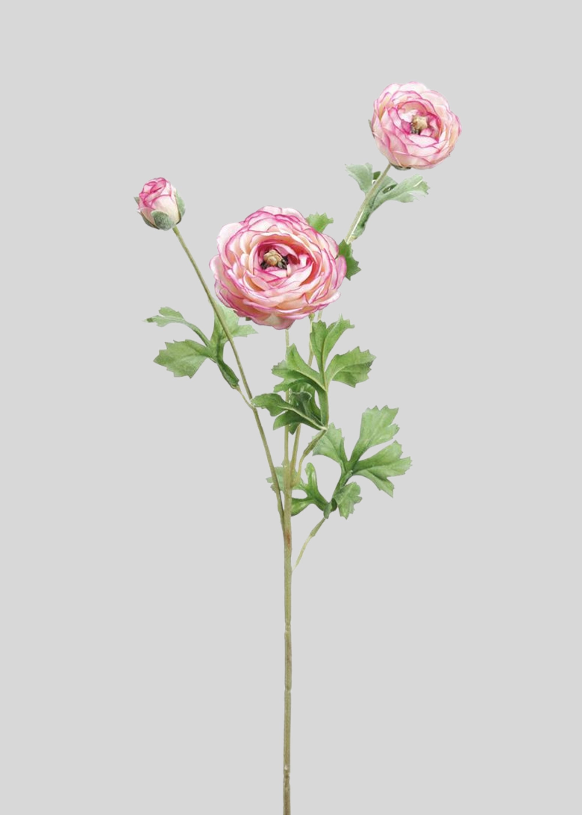 Cream Artificial Ranunculus Stem for Vase Styling