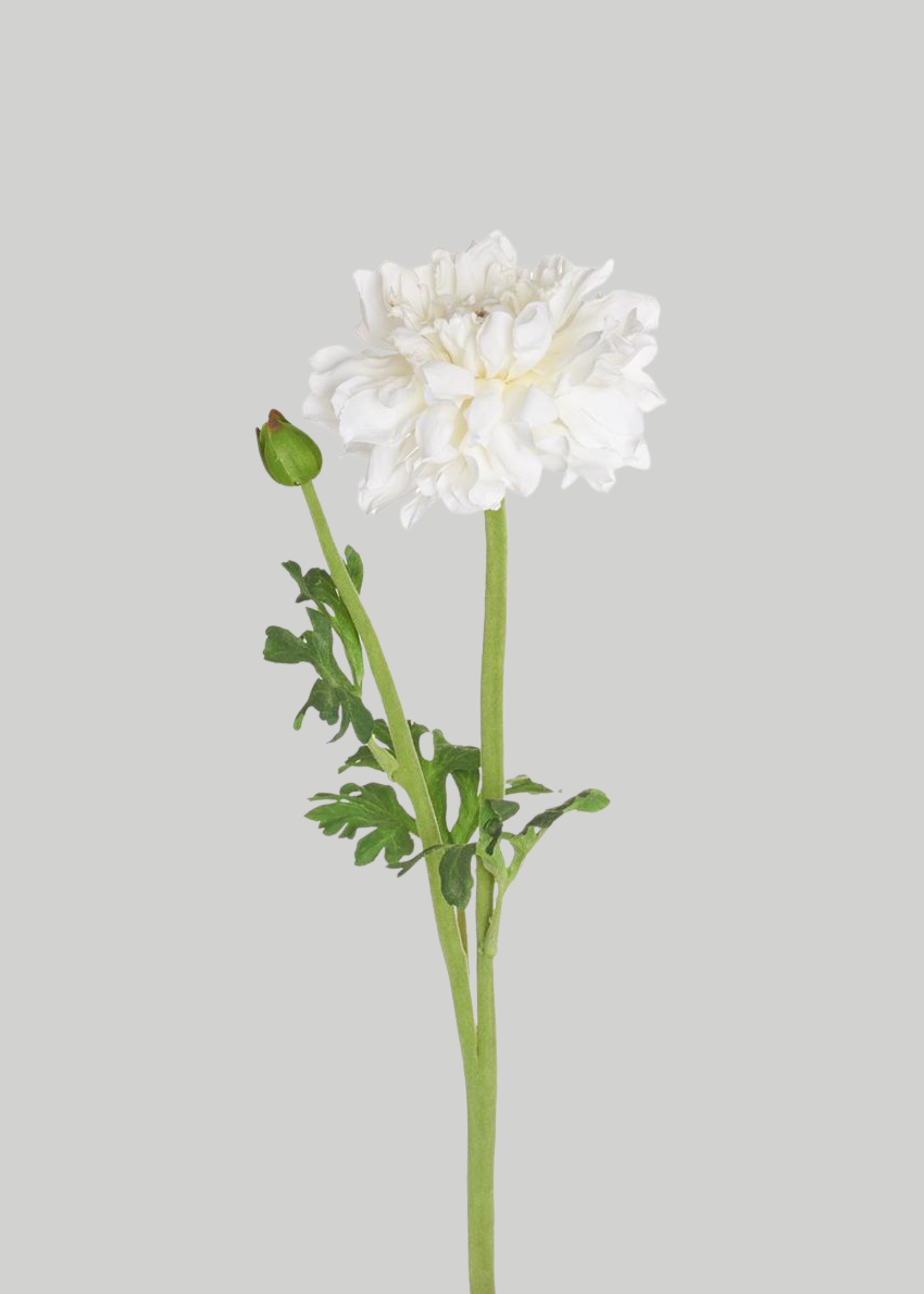 White Artificial Ranunculus Stem for Vase Styling