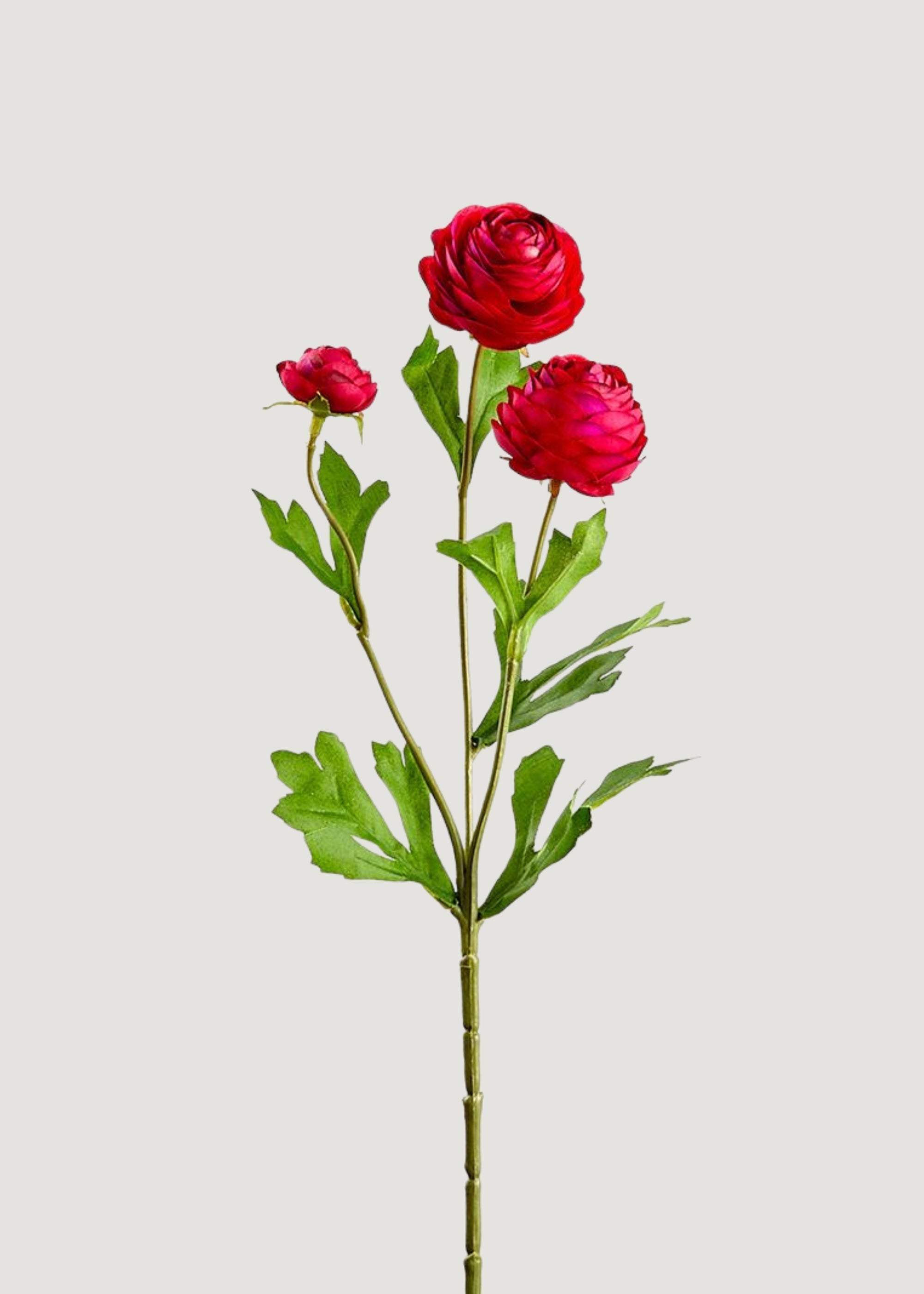 Fuchsia Artificial Ranunculus Stem for Vase Styling