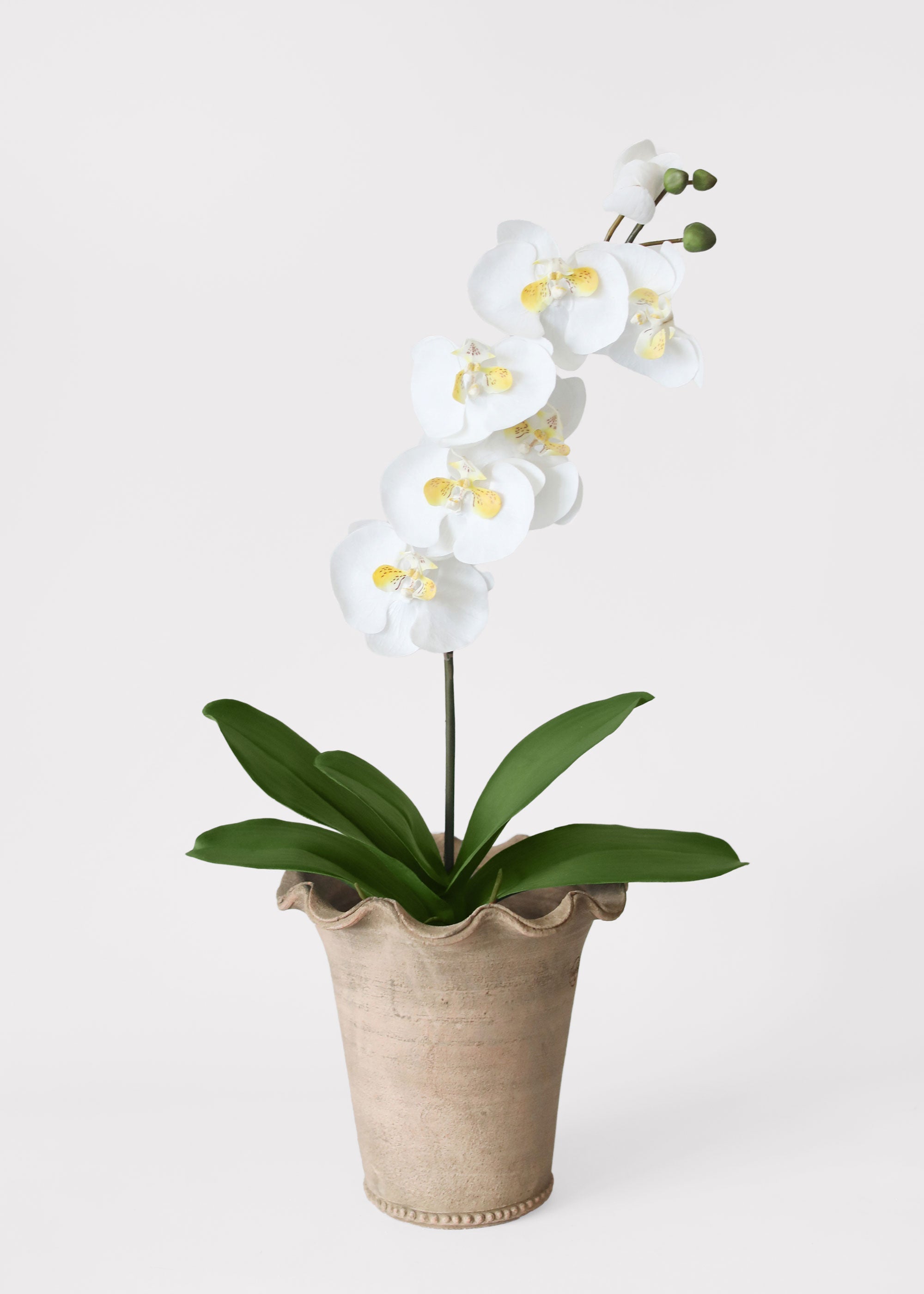 Green Artificial Orchid Stem for Home Decor