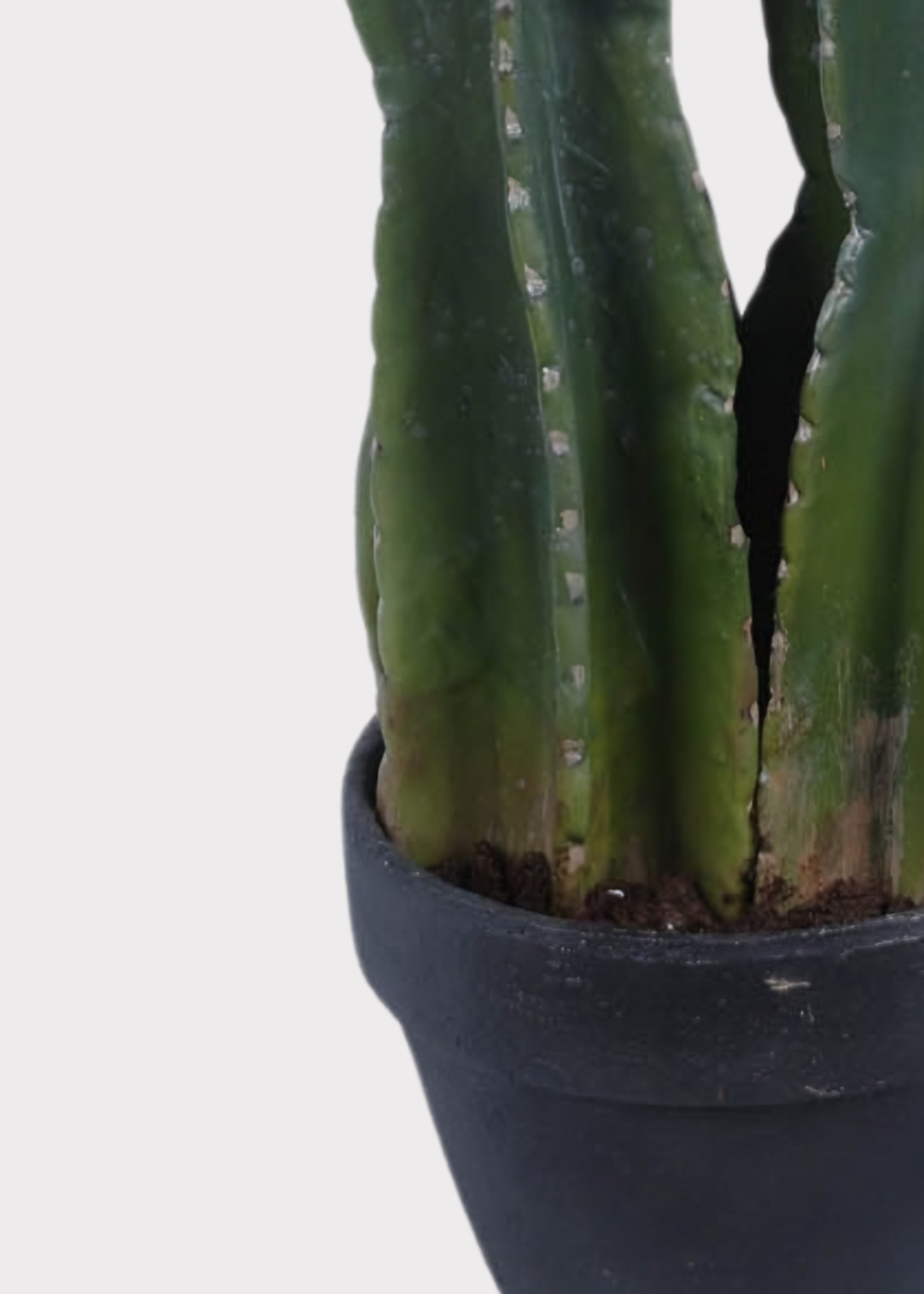 Green Artificial Cactus Potted Plant for Home Decor