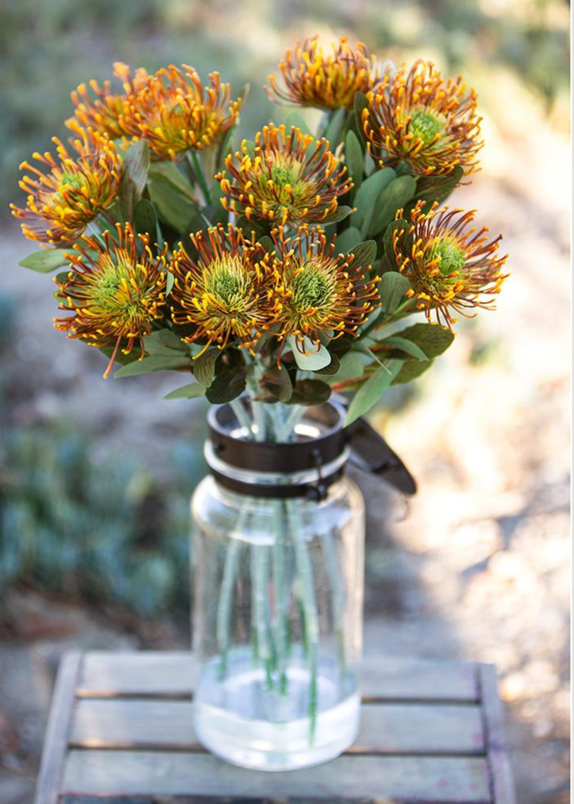 Orange Artificial Rust Orange Pincushion Protea Tropical for Home Decor