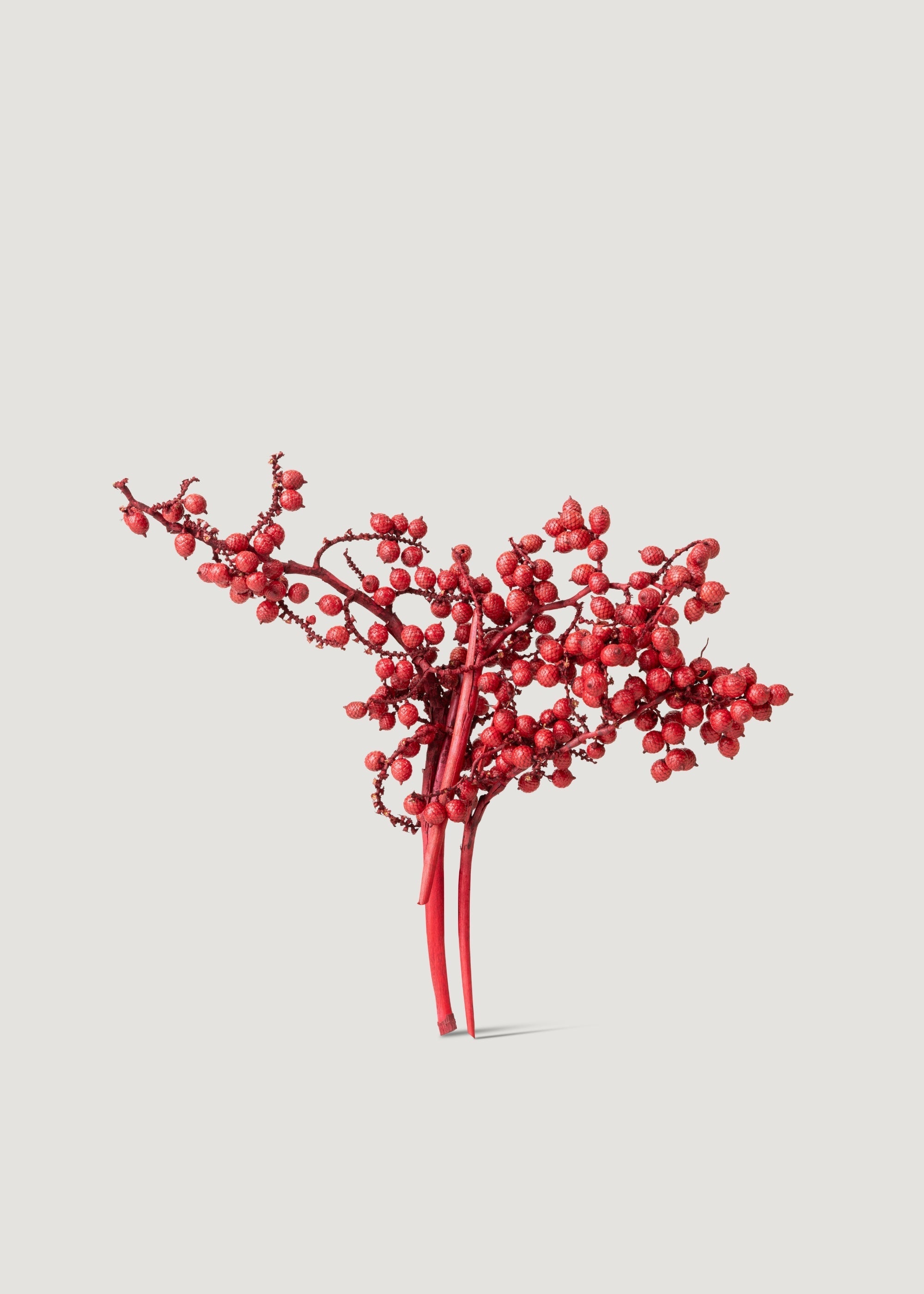 Red Dried Berry Stems for Vase Styling