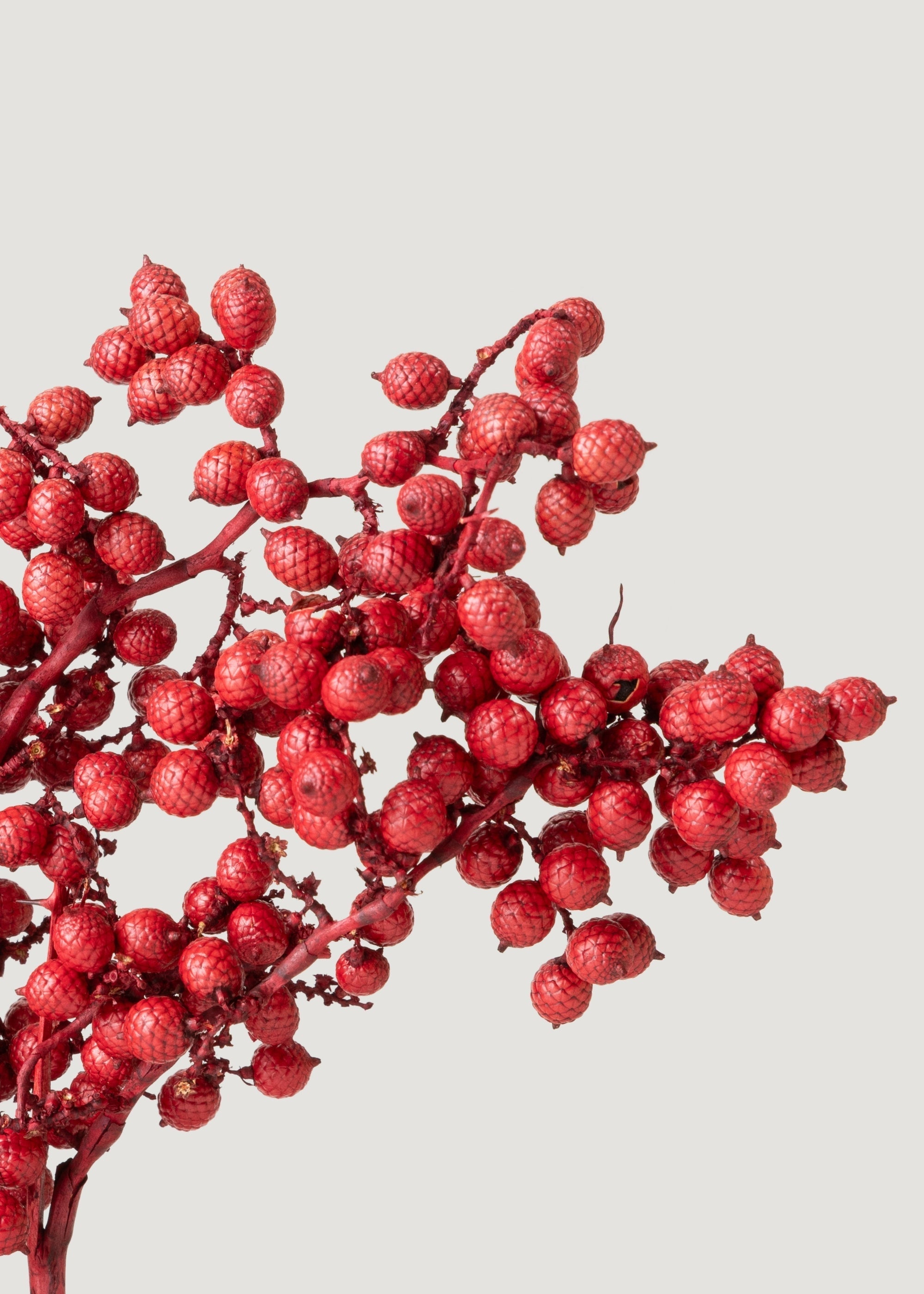 Red Dried Berry Stems for Table Centerpiece