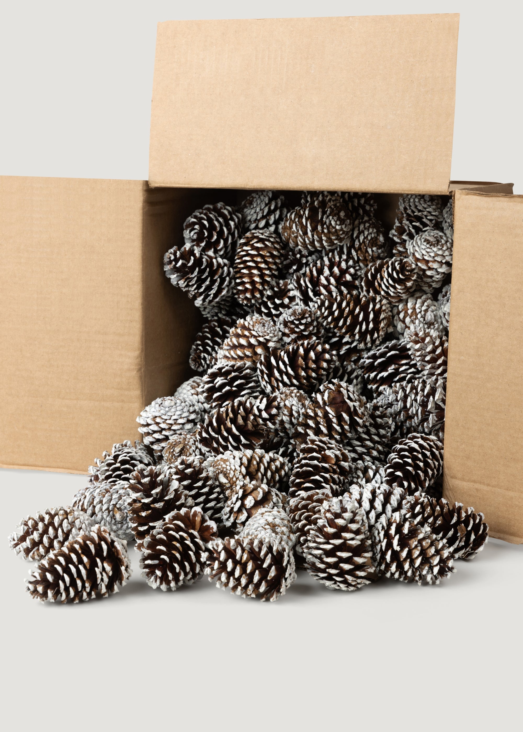 White Dried Pine Bundle for Table Centerpiece