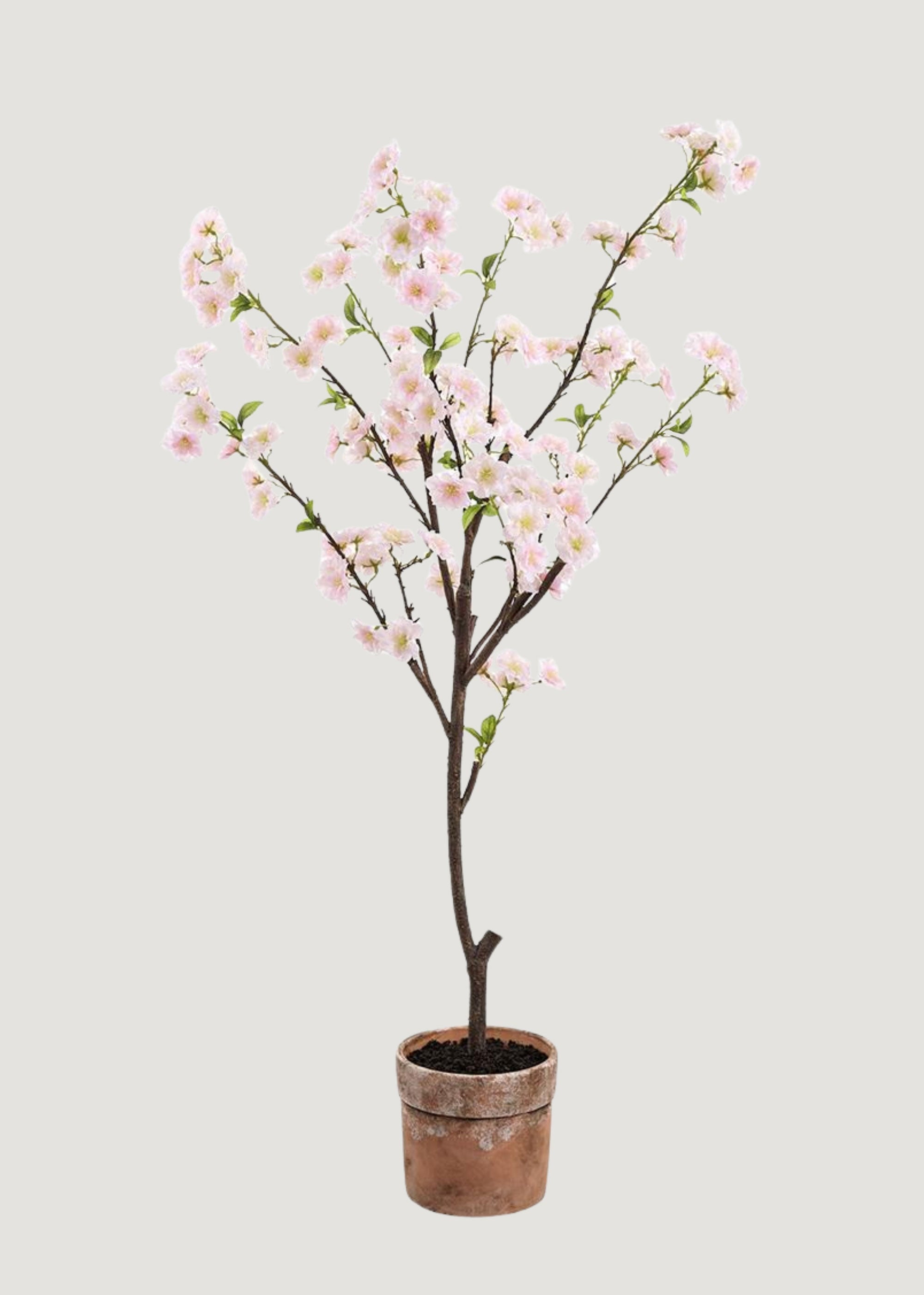 Blush Cherry Blossom Arrangement for Vase Styling