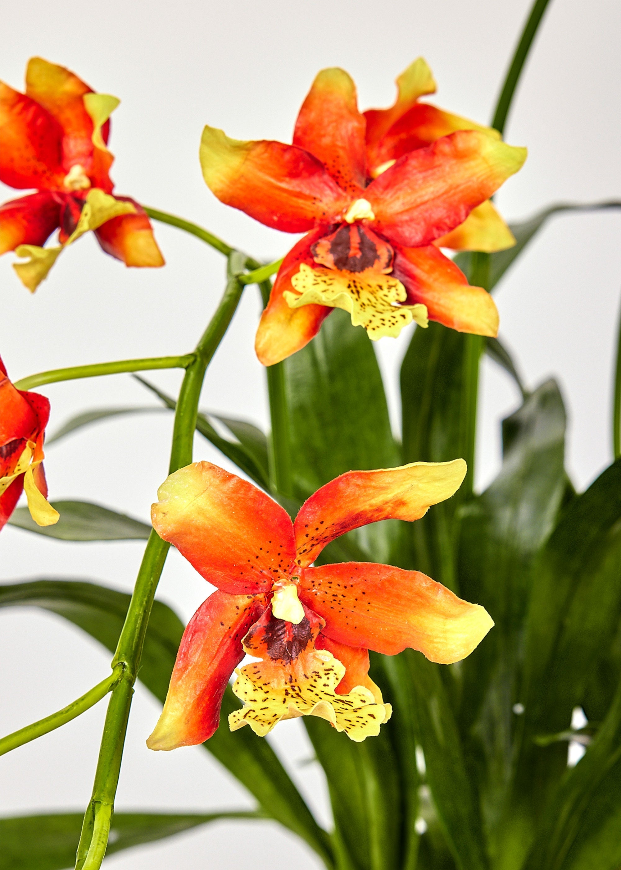 Artificial Orchid Arrangement for Table Centerpiece