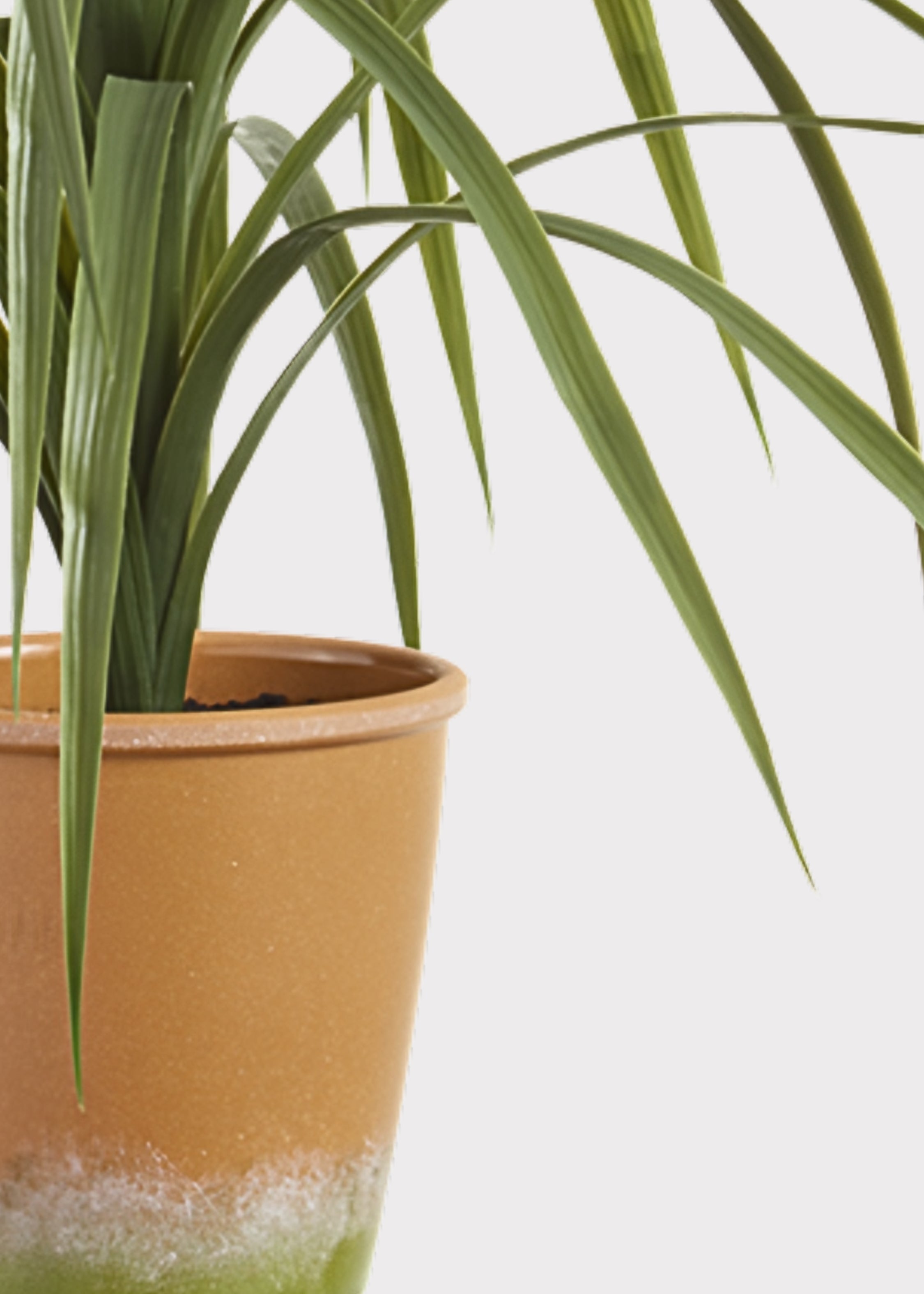 Green Artificial Succulent Potted Plant for Home Decor