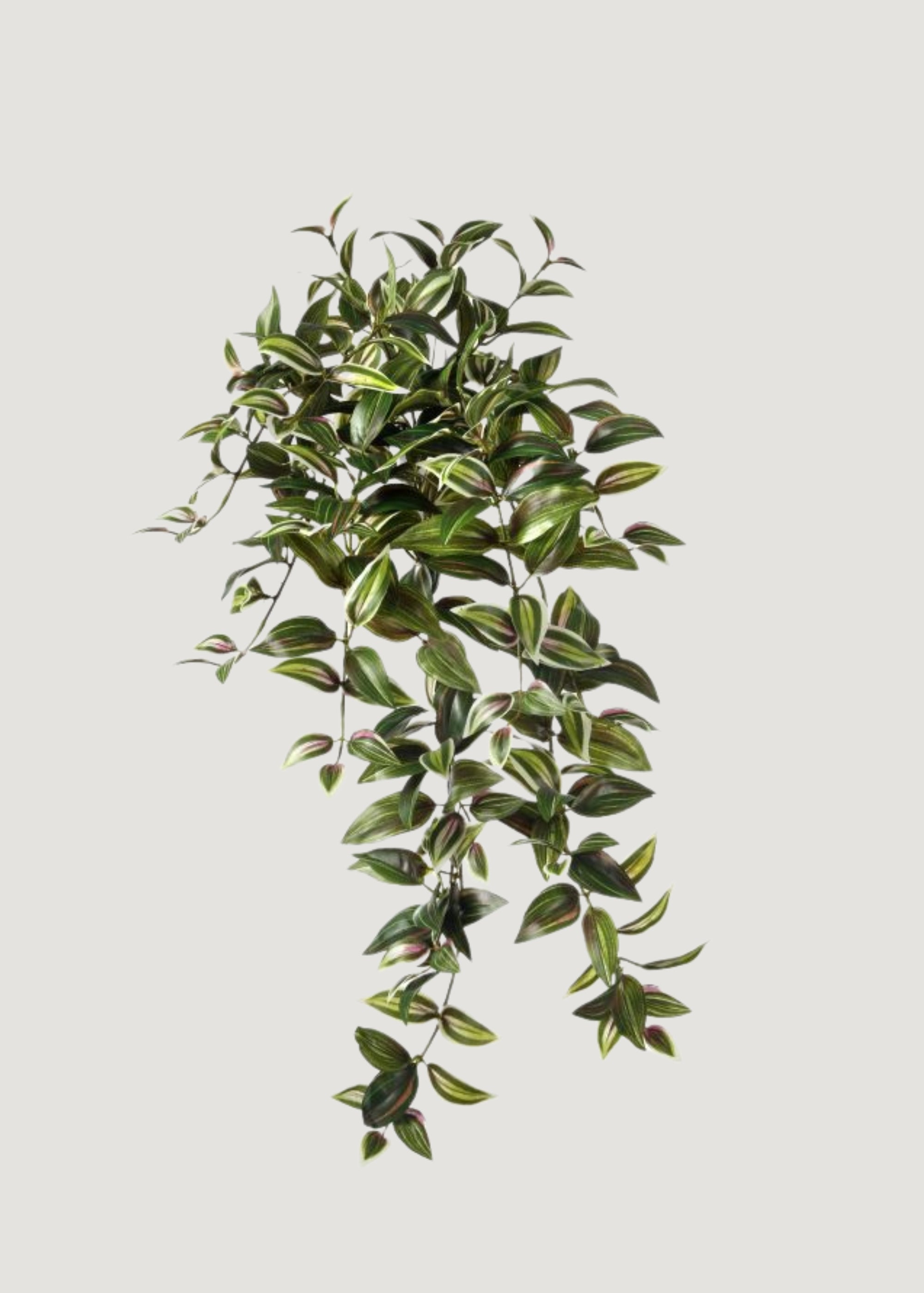 Green Artificial Variegated Tradescantia Hanging for Vase Styling