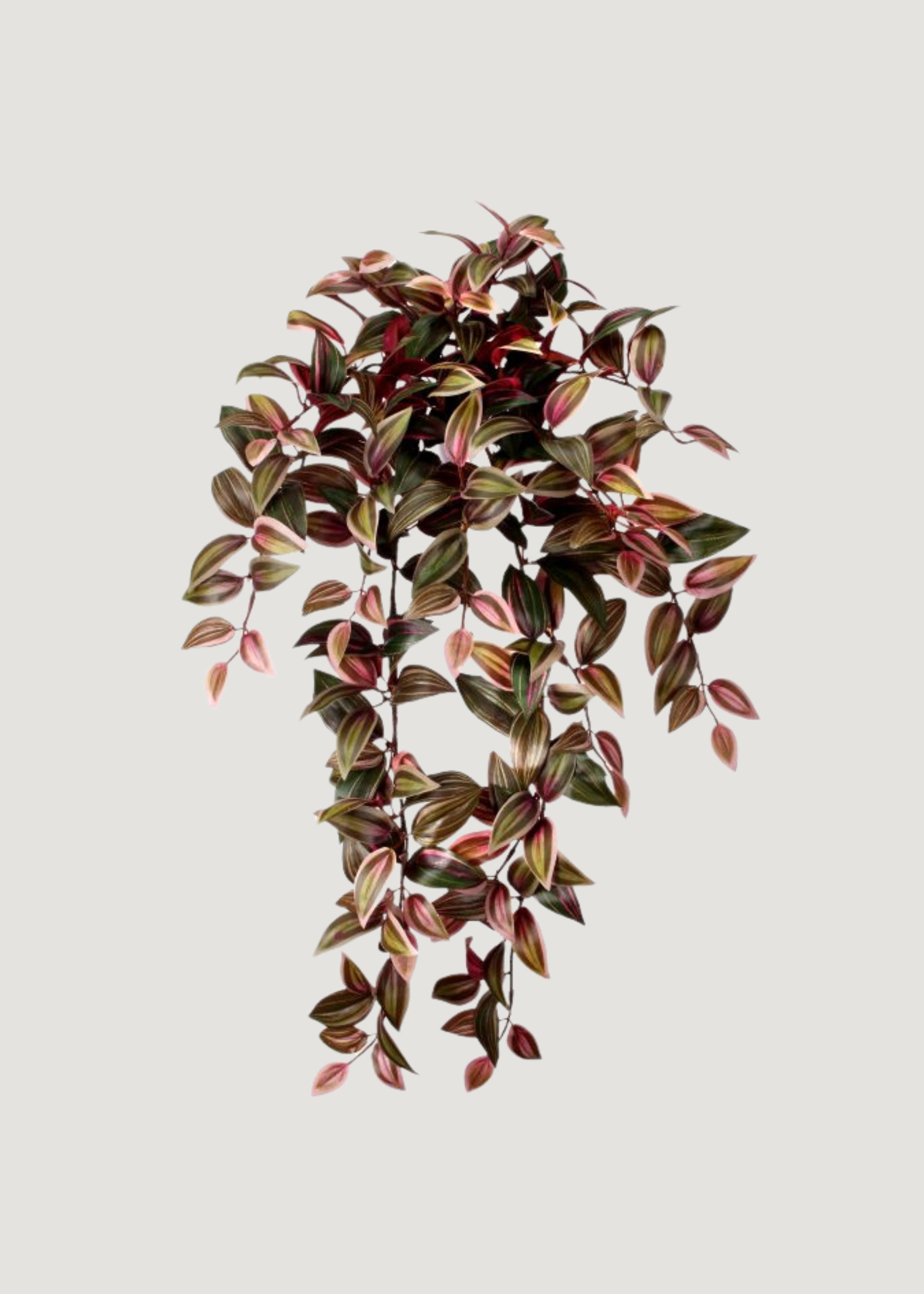 Blush Green Artificial Burgundy Blush Tradescantia Hanging for Vase Styling