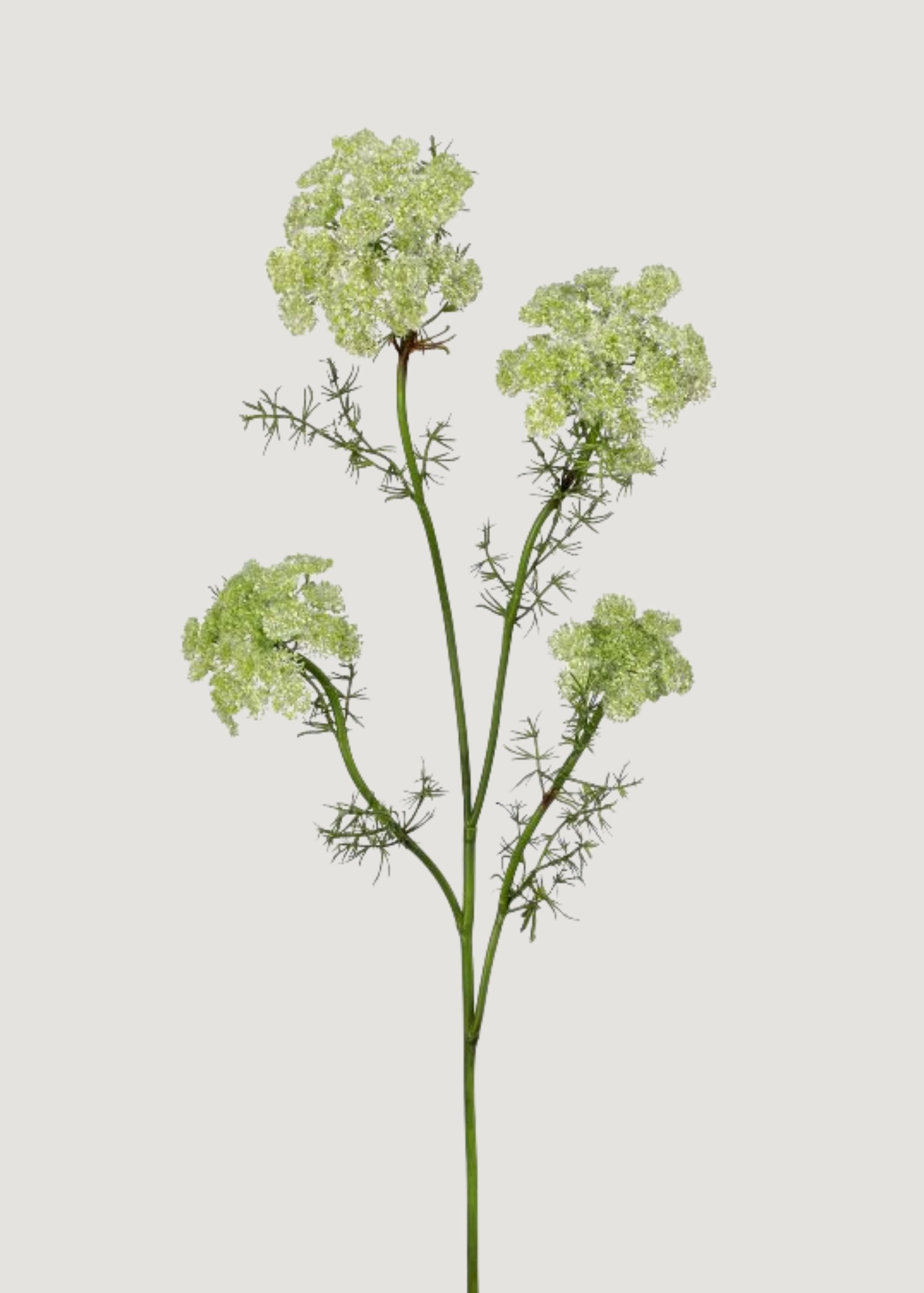 Green Artificial Dill Wildflower Branch for Vase Styling