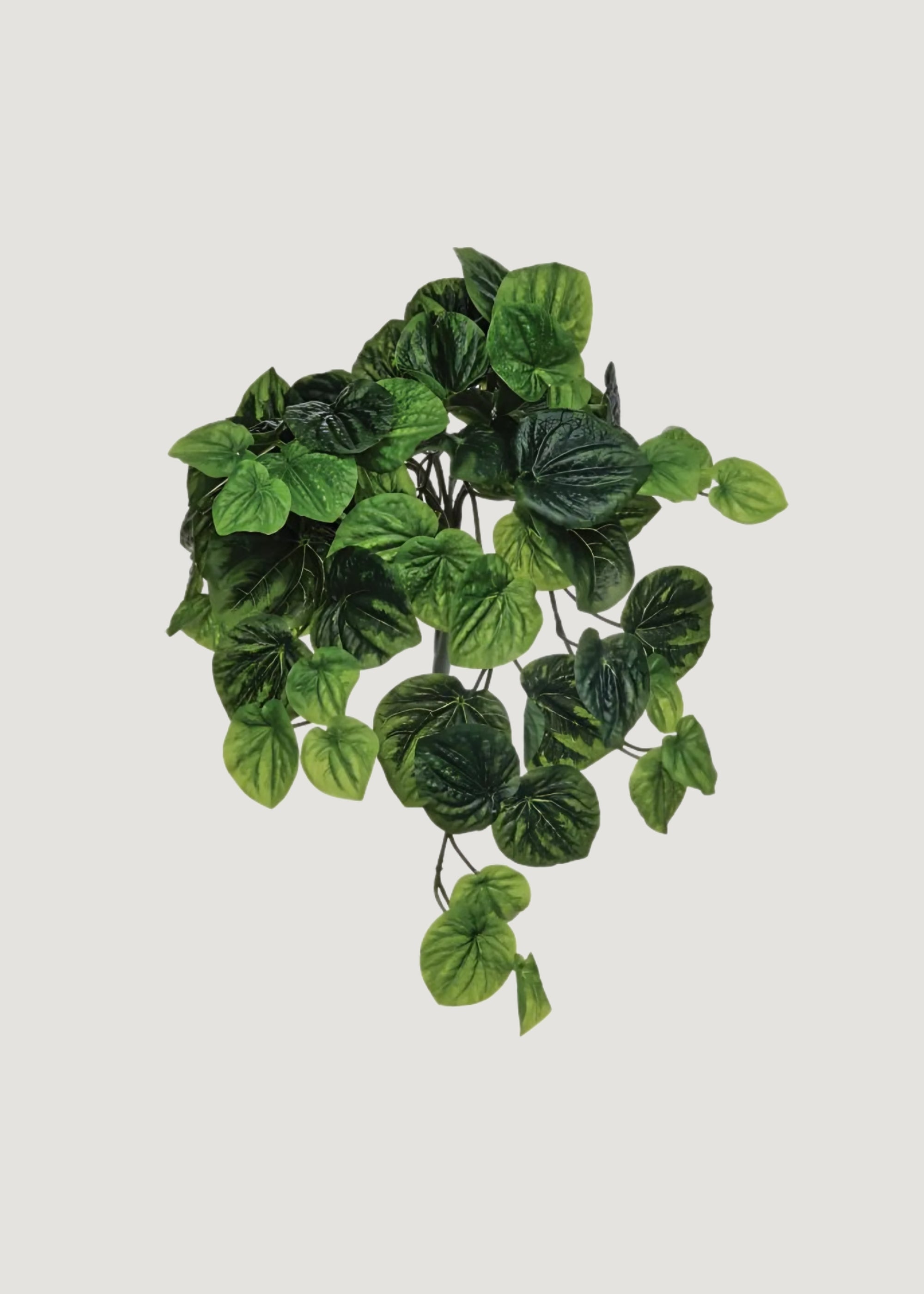 Green Artificial Peperomia Hanging for Vase Styling