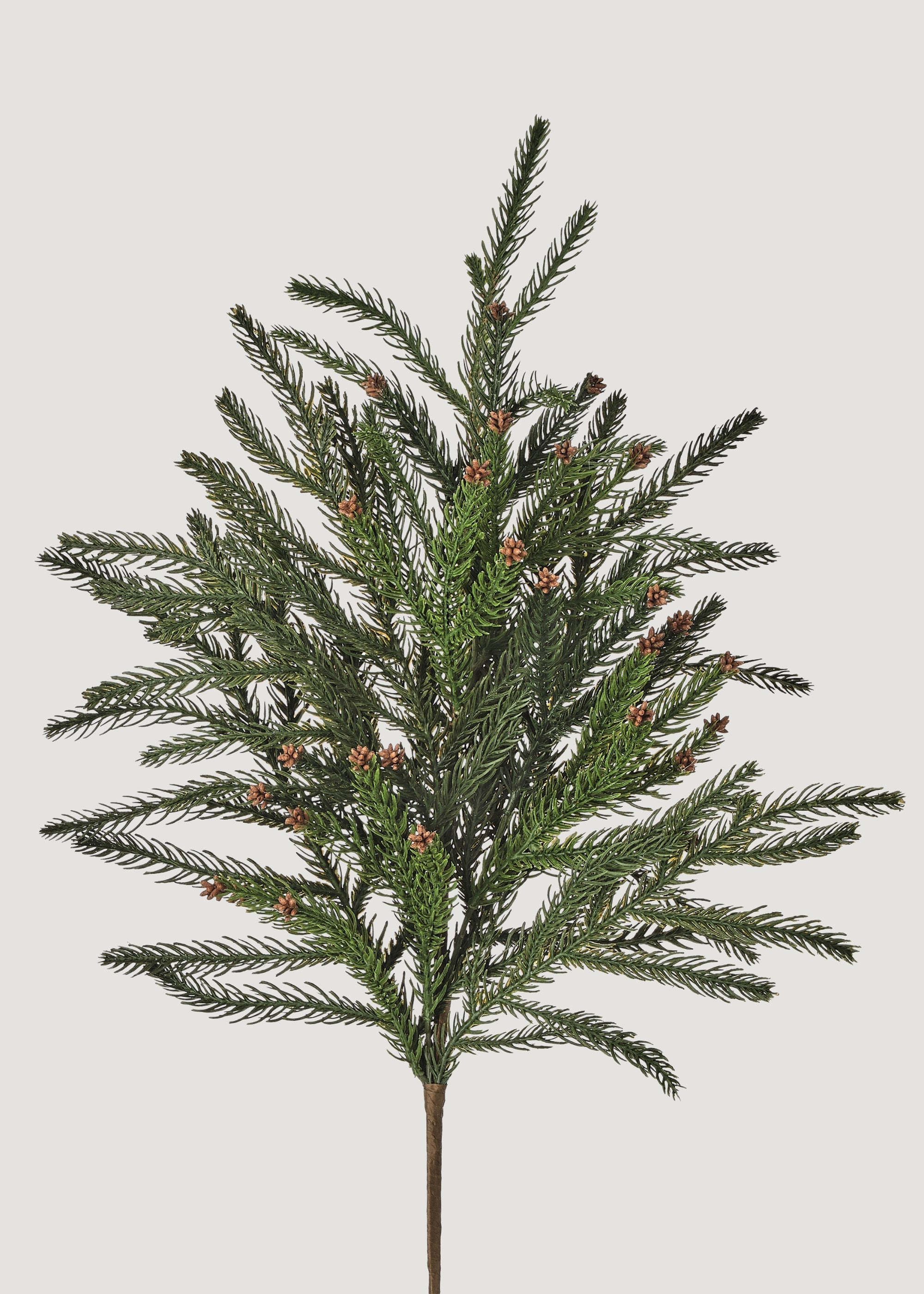 Natural Dried Pine Branch for Vase Styling
