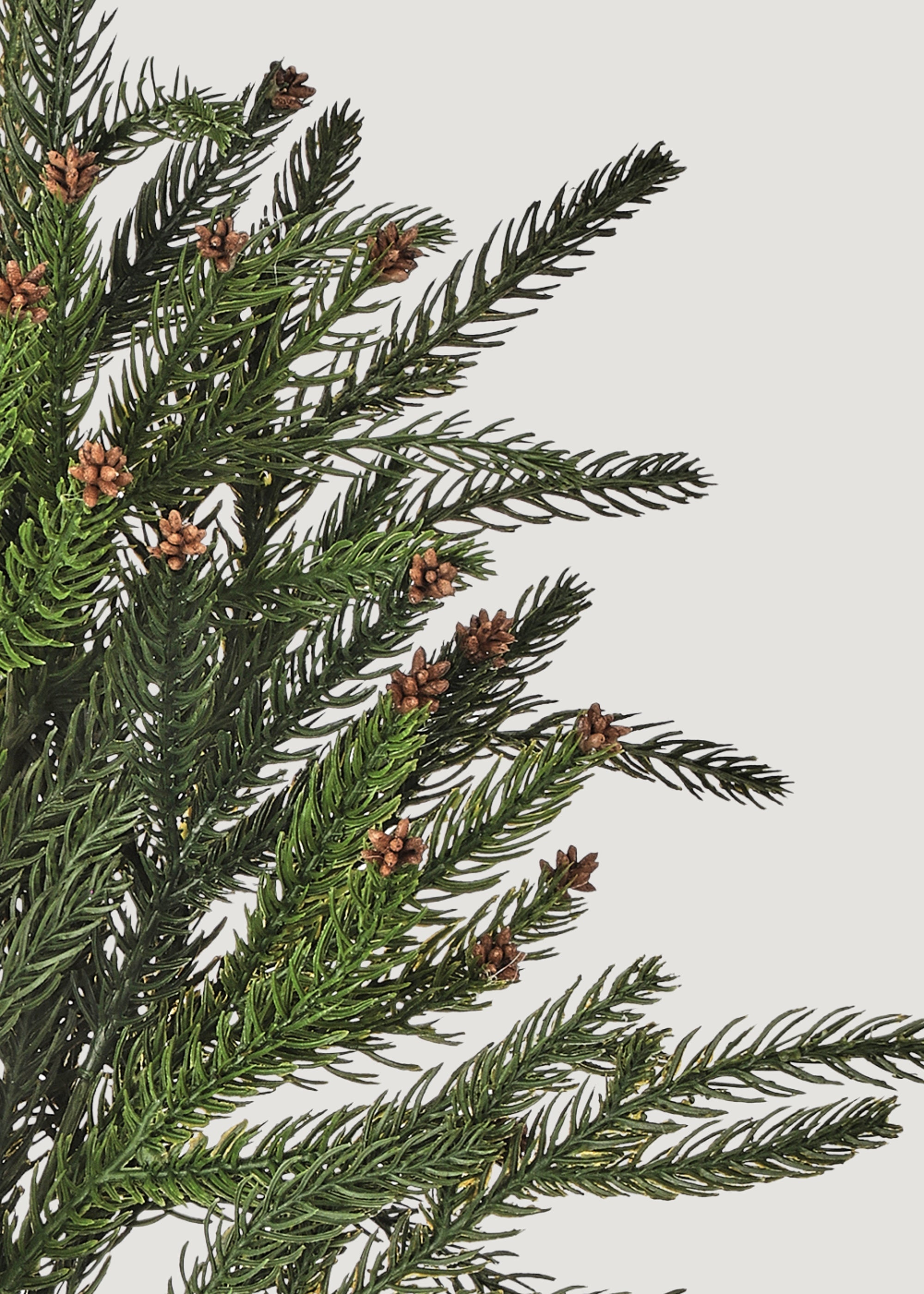Natural Dried Pine Branch for Home Decor