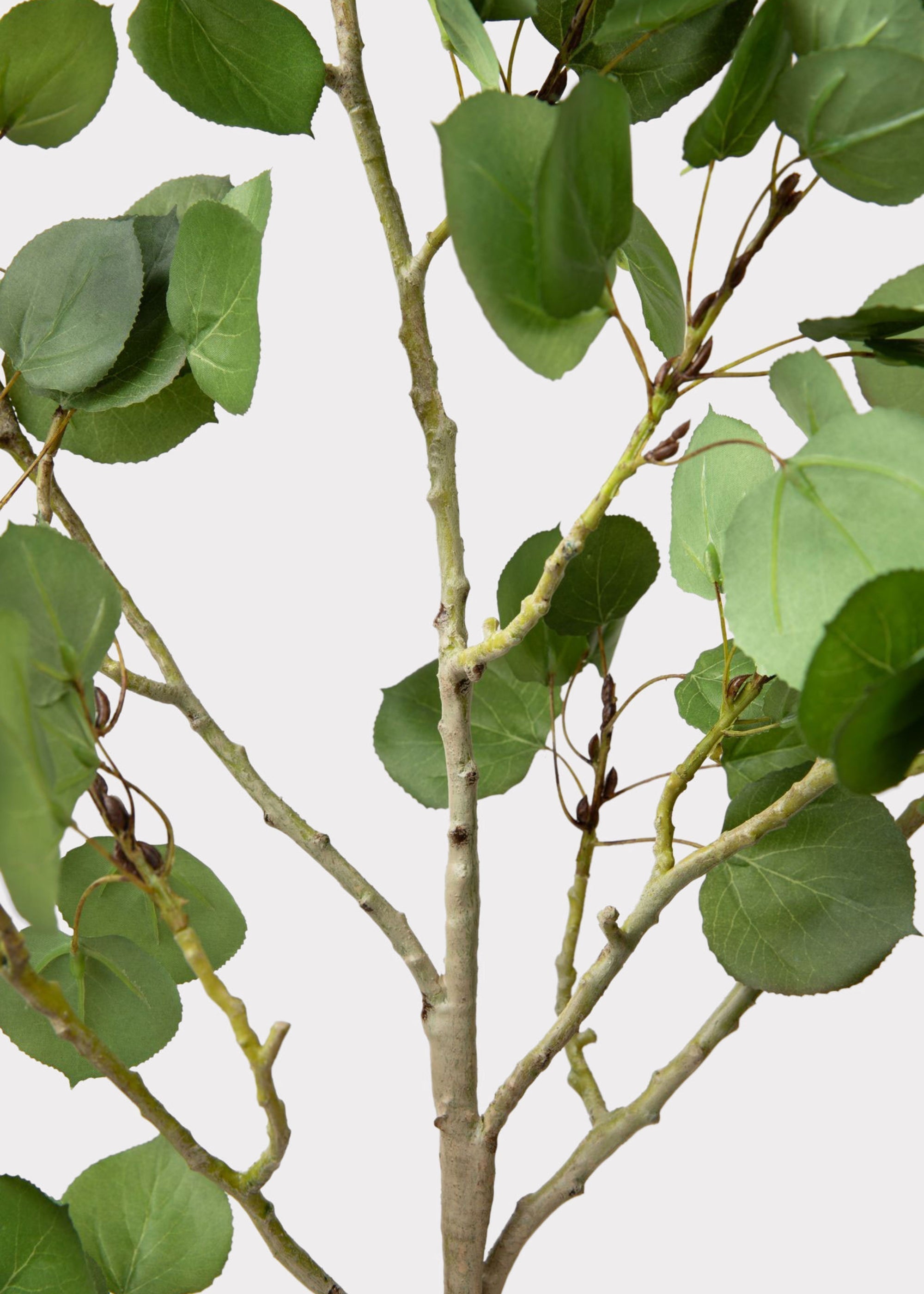 Green Artificial Premium Tall Aspen Branch for Table Centerpiece