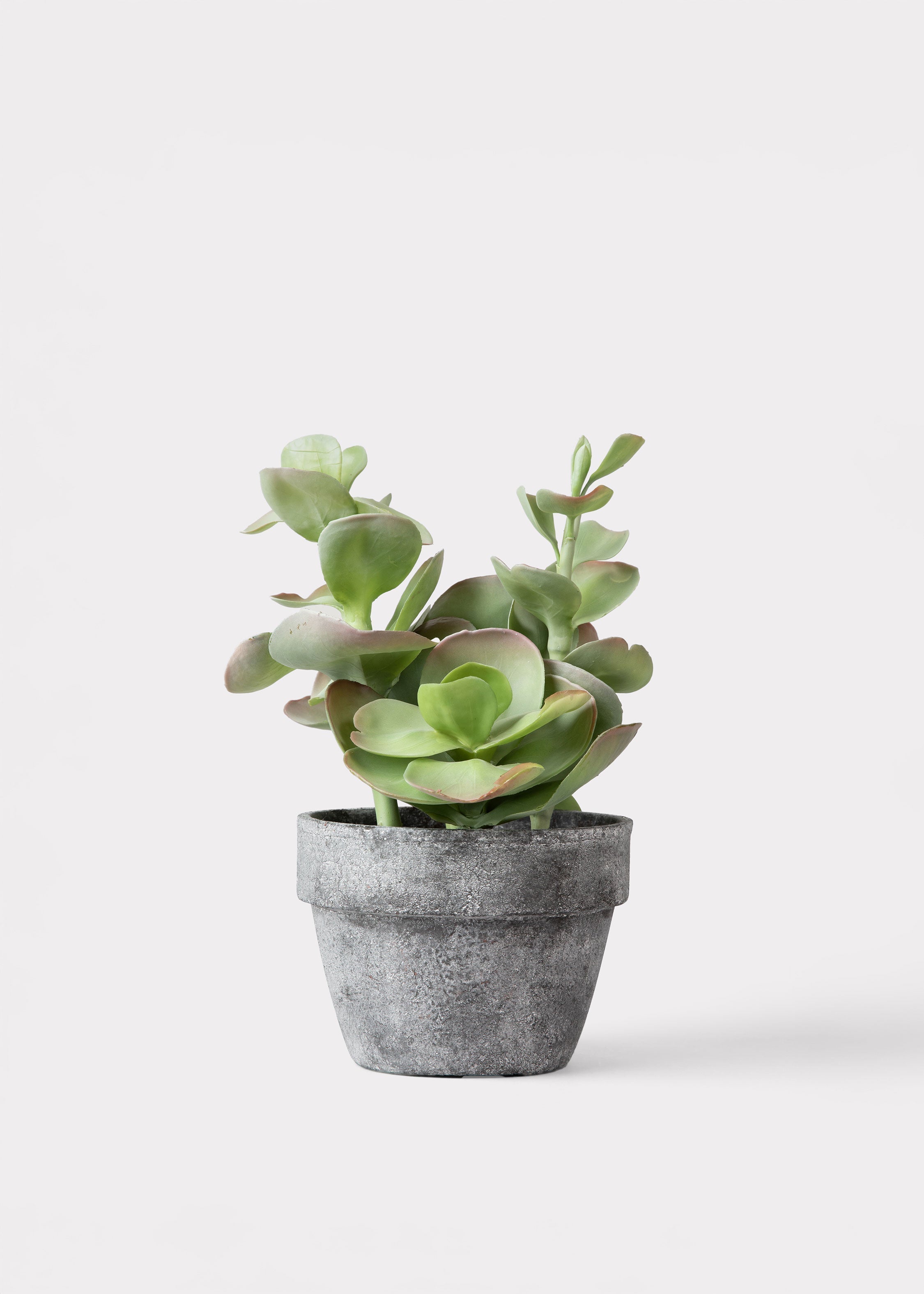 Green Artificial Succulent Potted Plant for Vase Styling