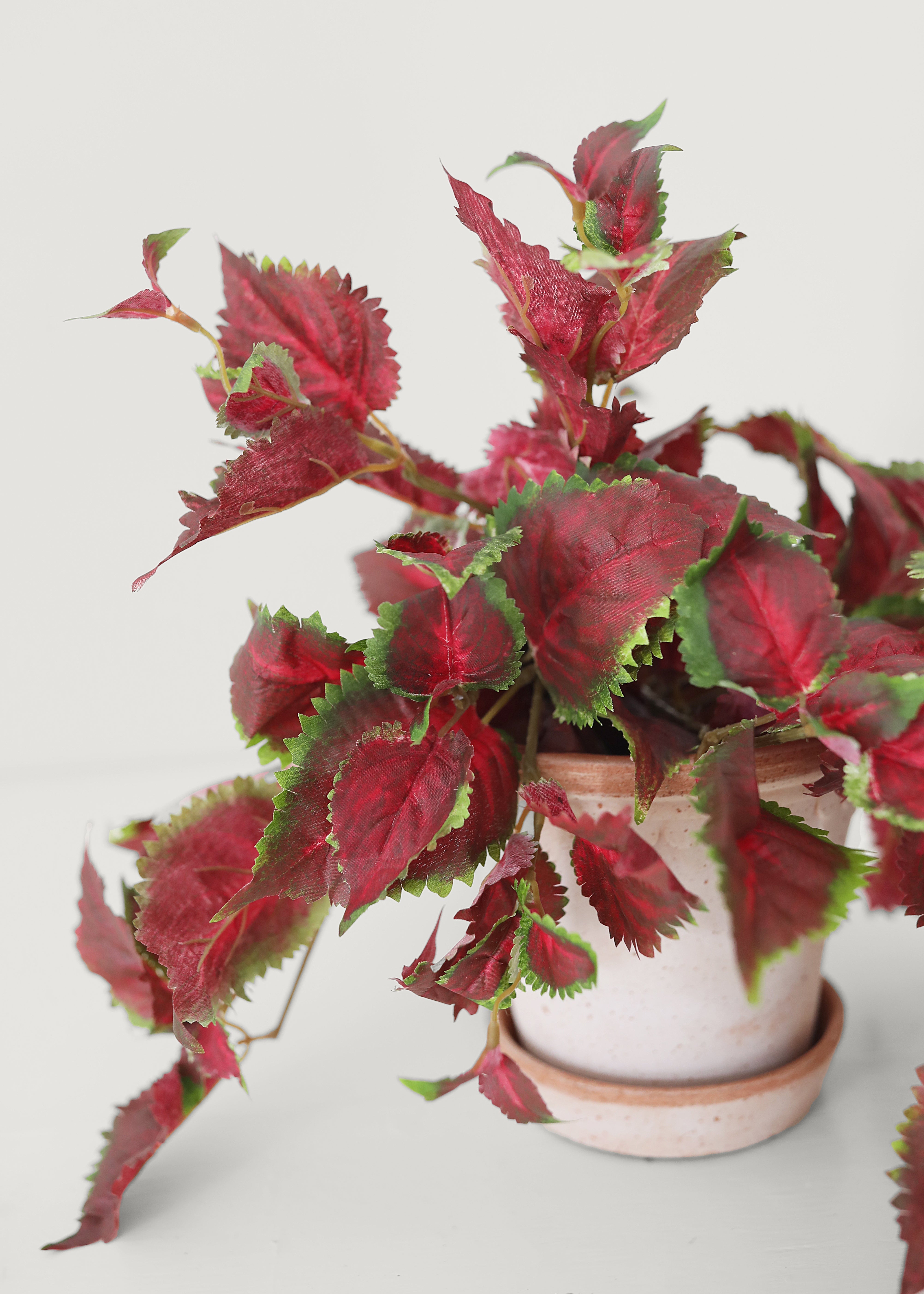 Green Artificial Hanging Coleus for Wedding Decor