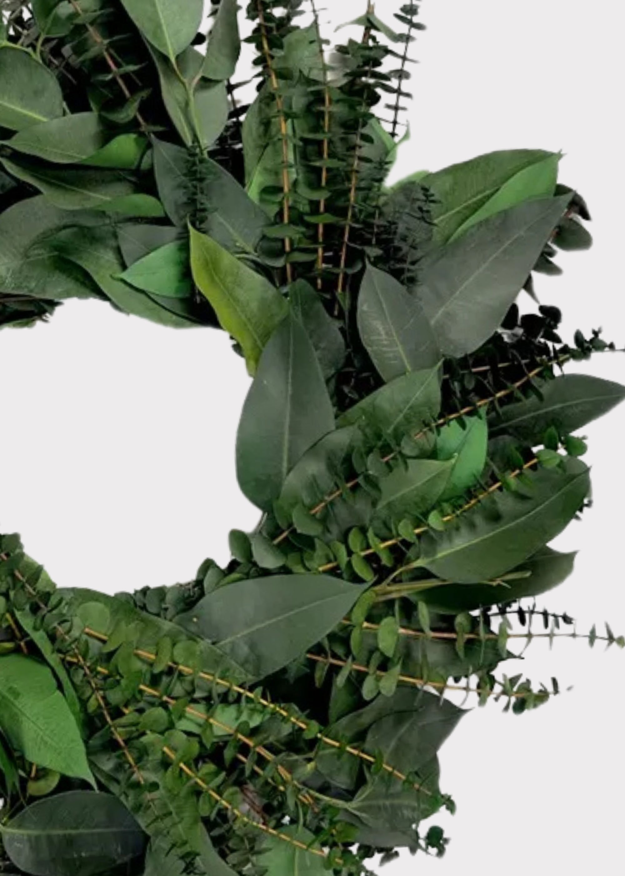 Green Dried Eucalyptus Wreath for Home Decor