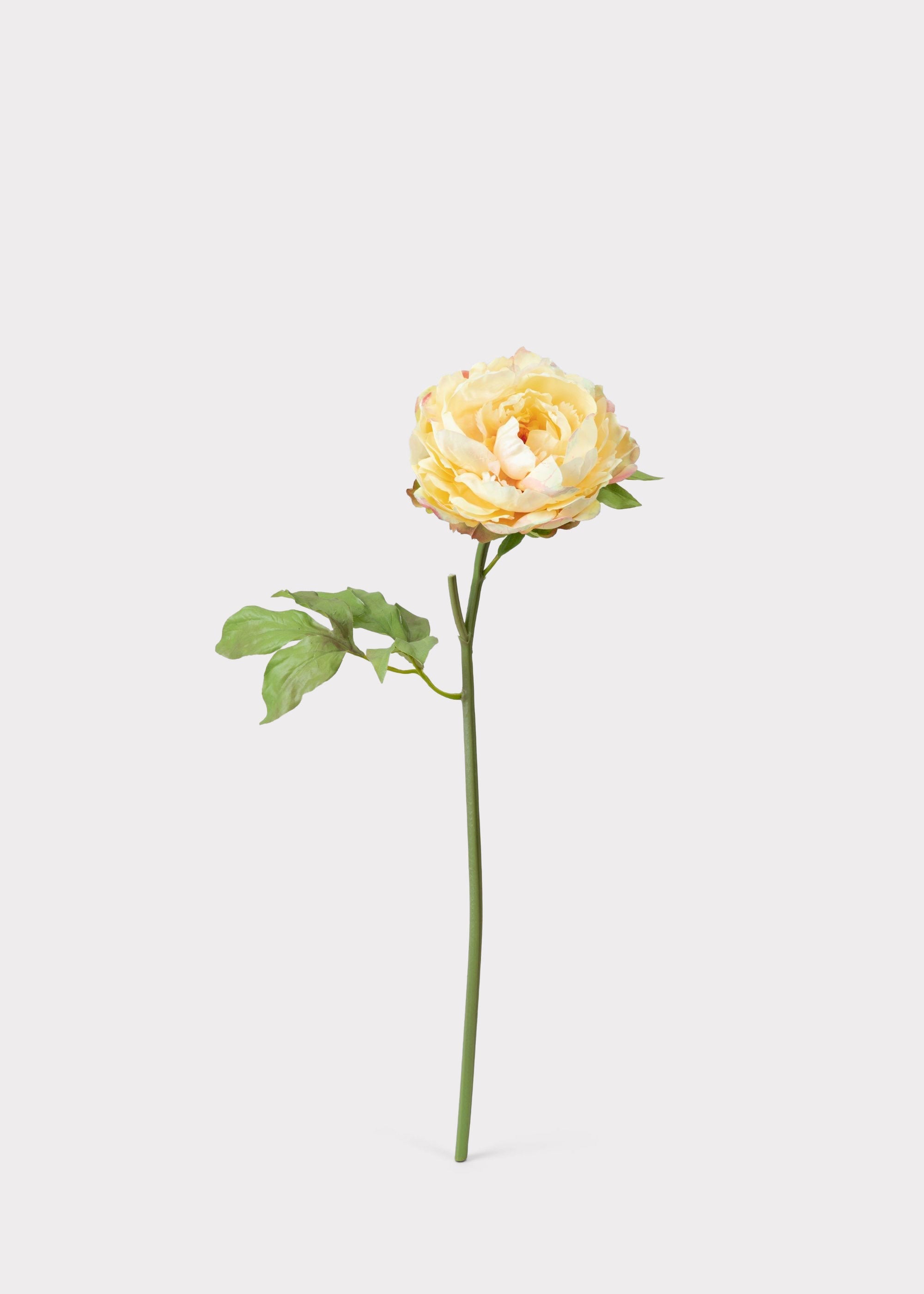 Yellow Real Touch Artificial Peony Stem for Table Centerpiece