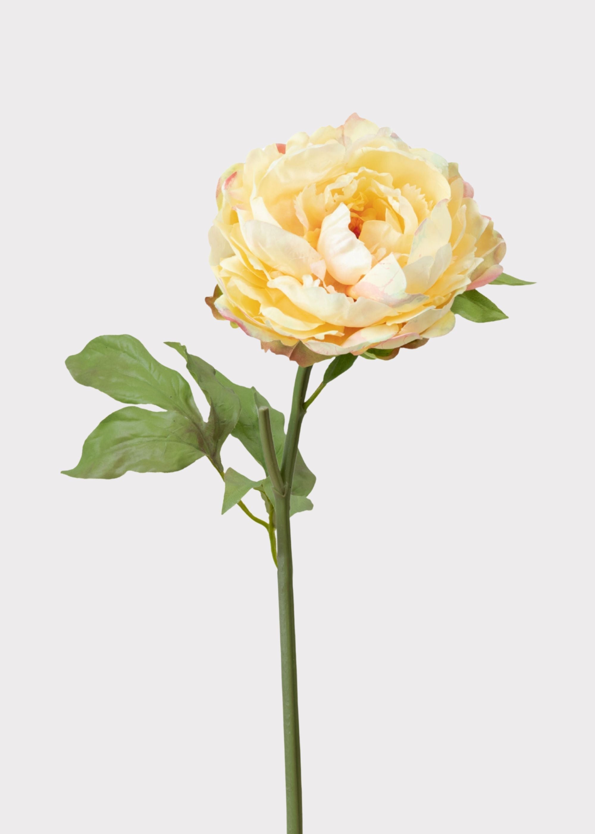 Yellow Real Touch Artificial Peony Stem for Vase Styling
