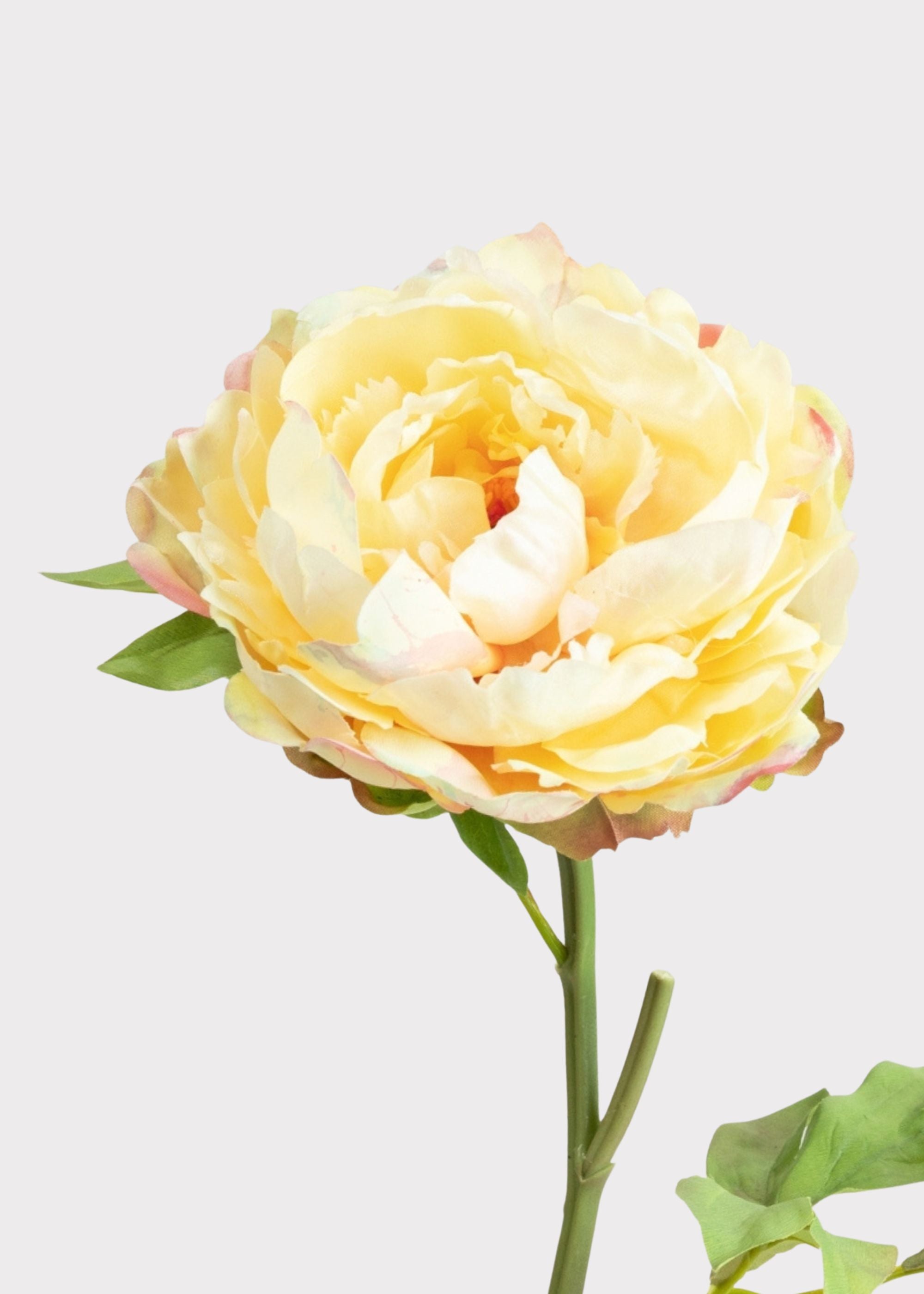 Yellow Real Touch Artificial Peony Stem for Wedding Decor