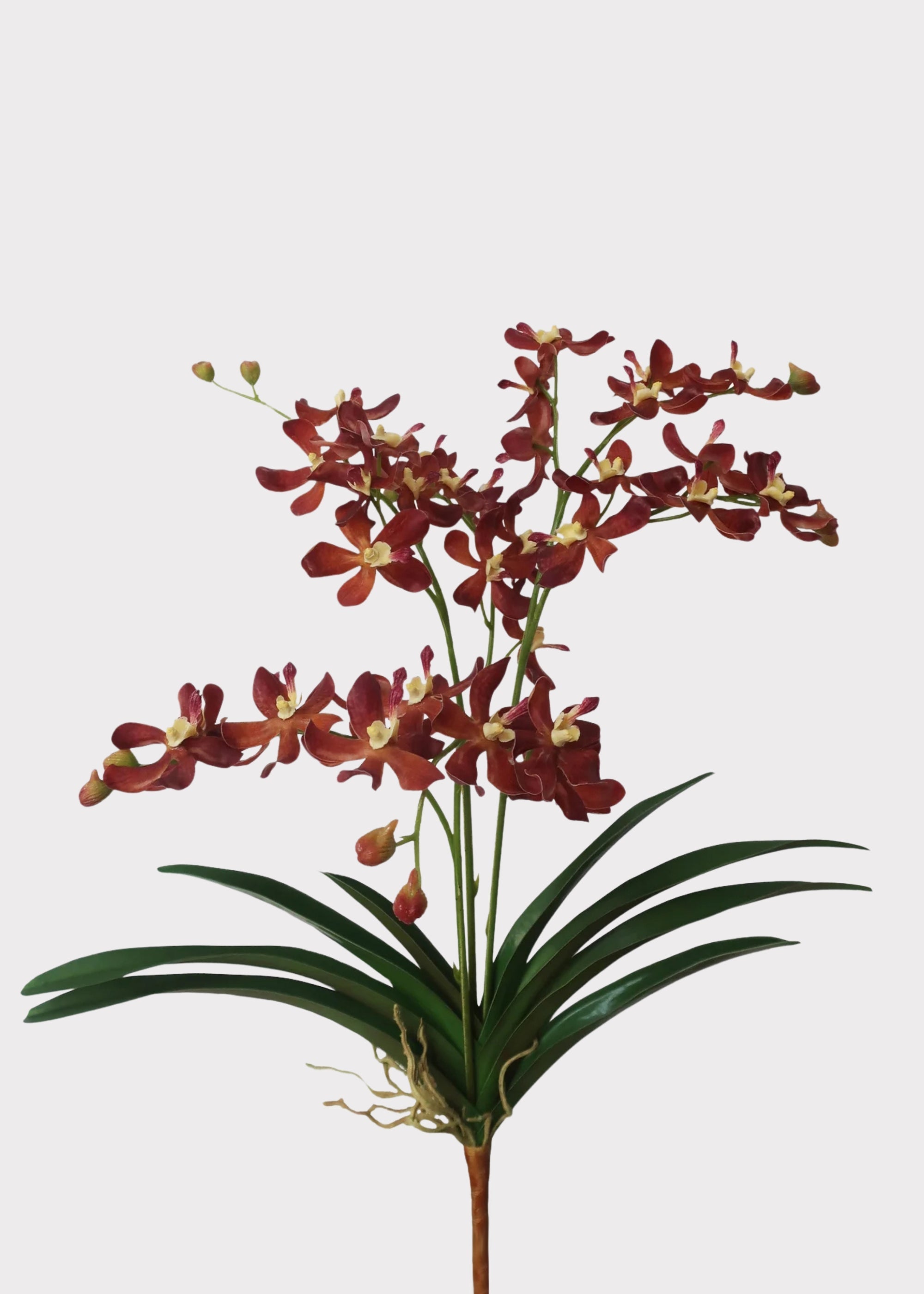 Brown Artificial Orchid Stem for Vase Styling