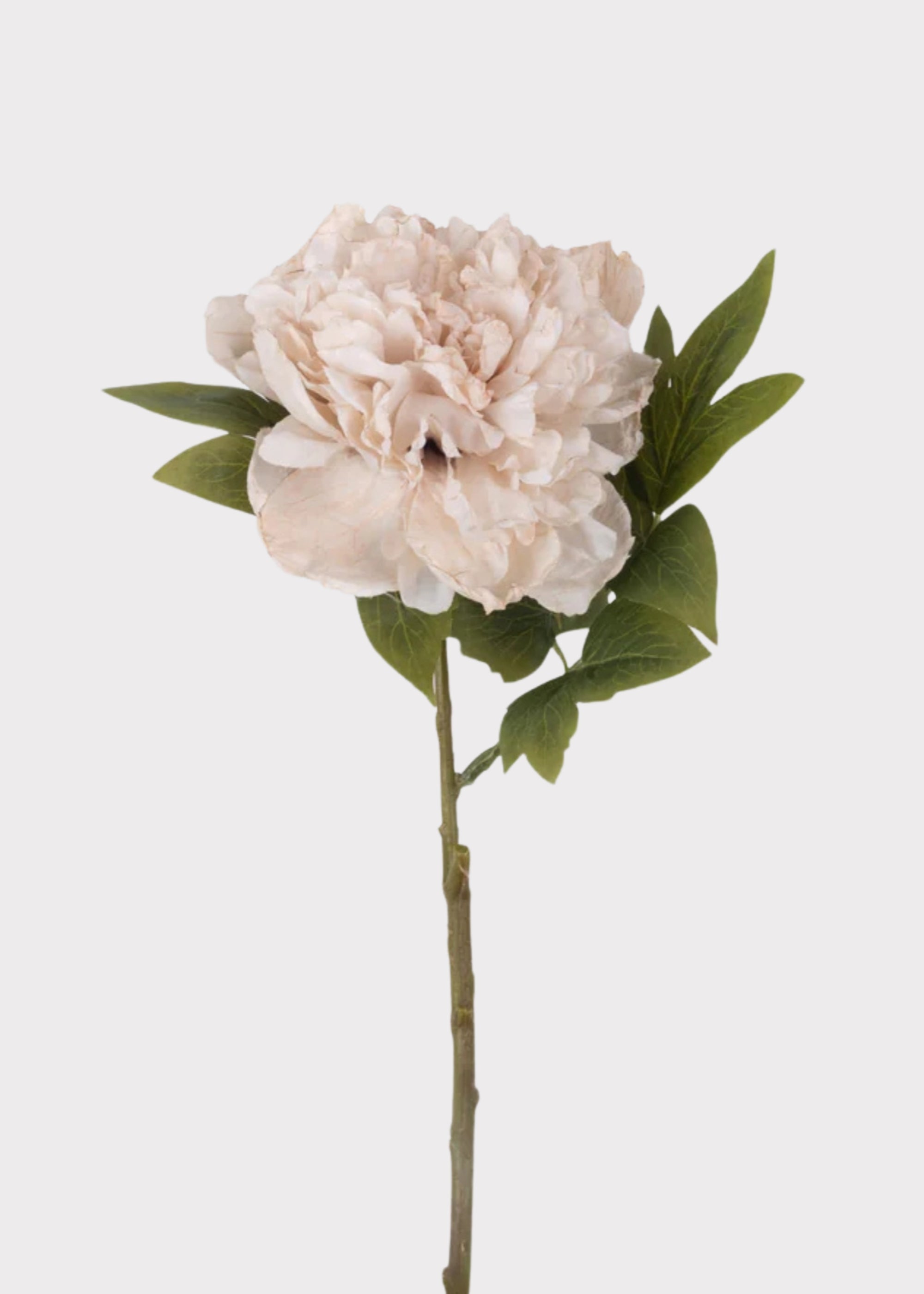 Beige blush artificial peony stem for wedding centerpiece