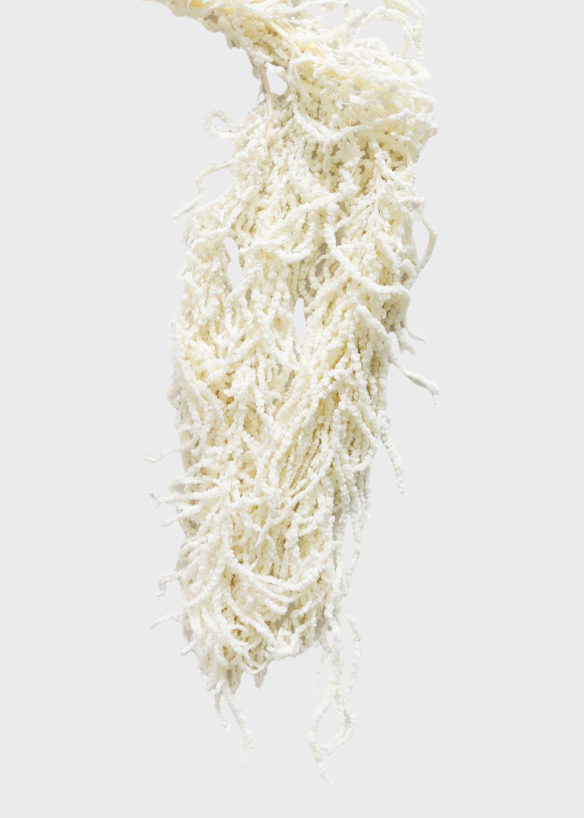 White Dried Hanging Amaranthus for Table Centerpiece