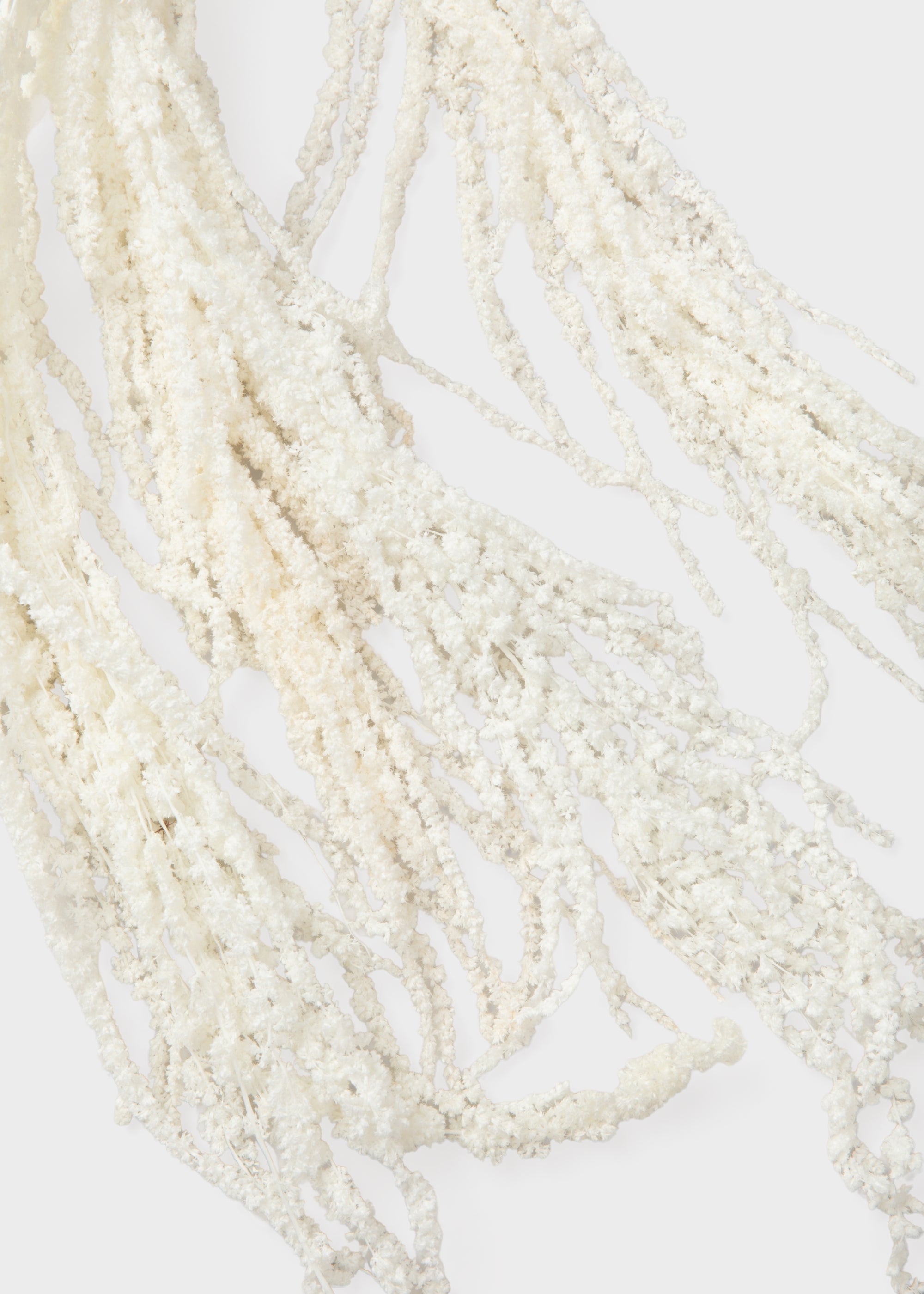 White Dried Hanging Amaranthus for Home Decor