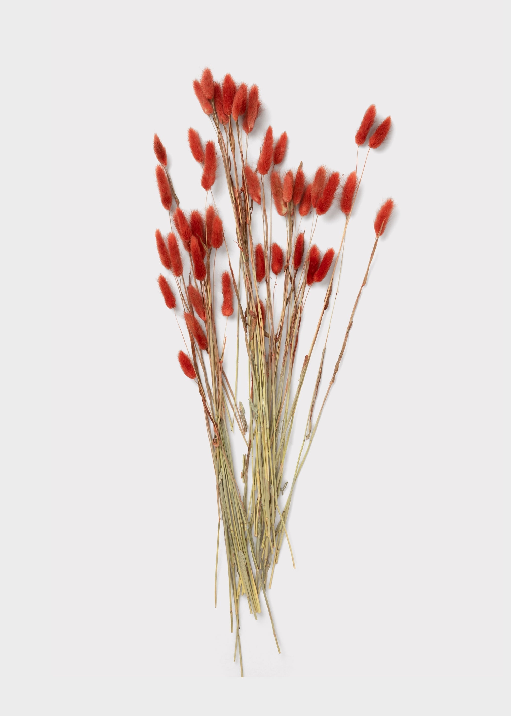 Green Dried Grass Bundle for Table Centerpiece