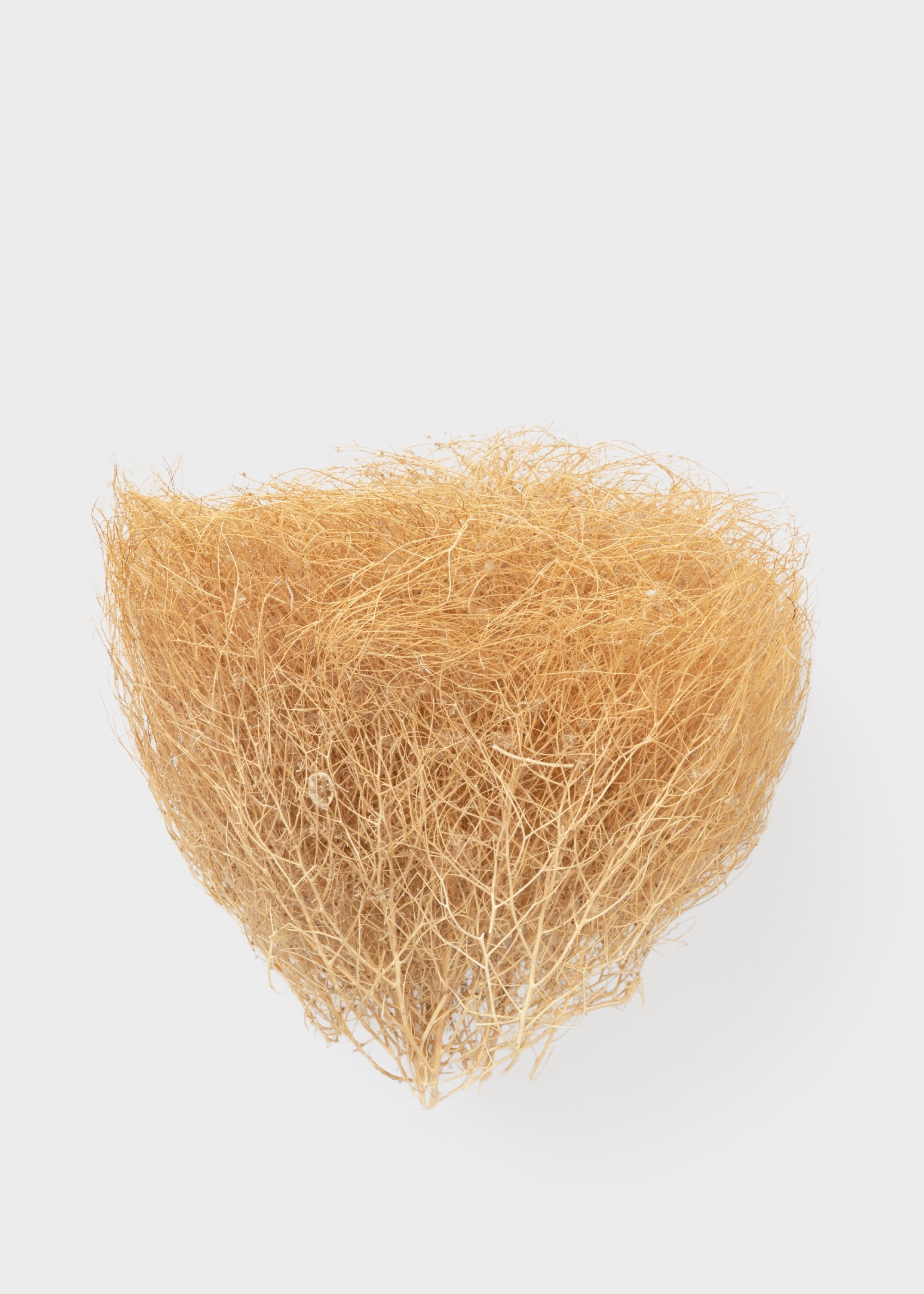 Natural Dried Tumbleweed Bunch for Table Centerpiece