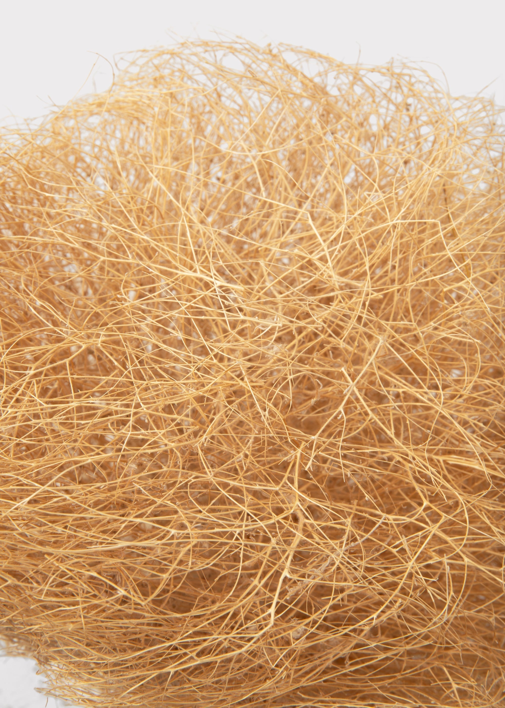 Natural Dried Tumbleweed Bunch for Home Decor
