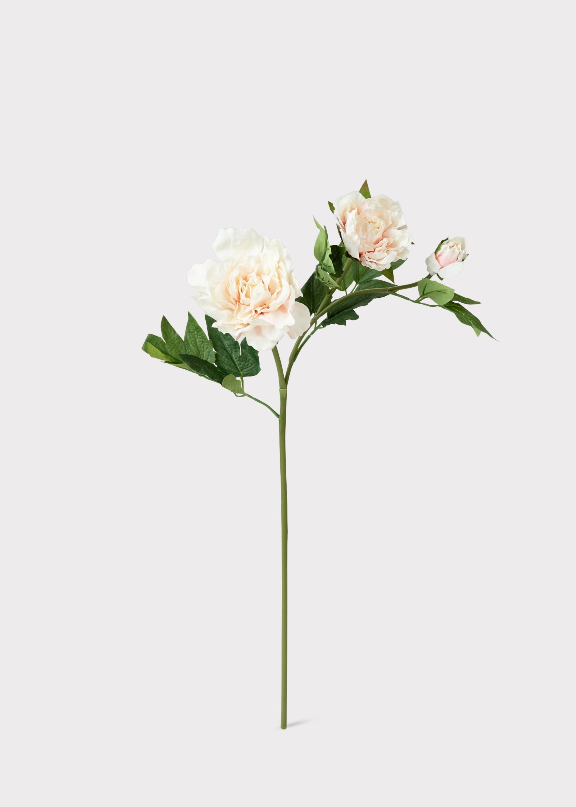 Pink Real Touch Artificial Peony Stem for Wedding Decor