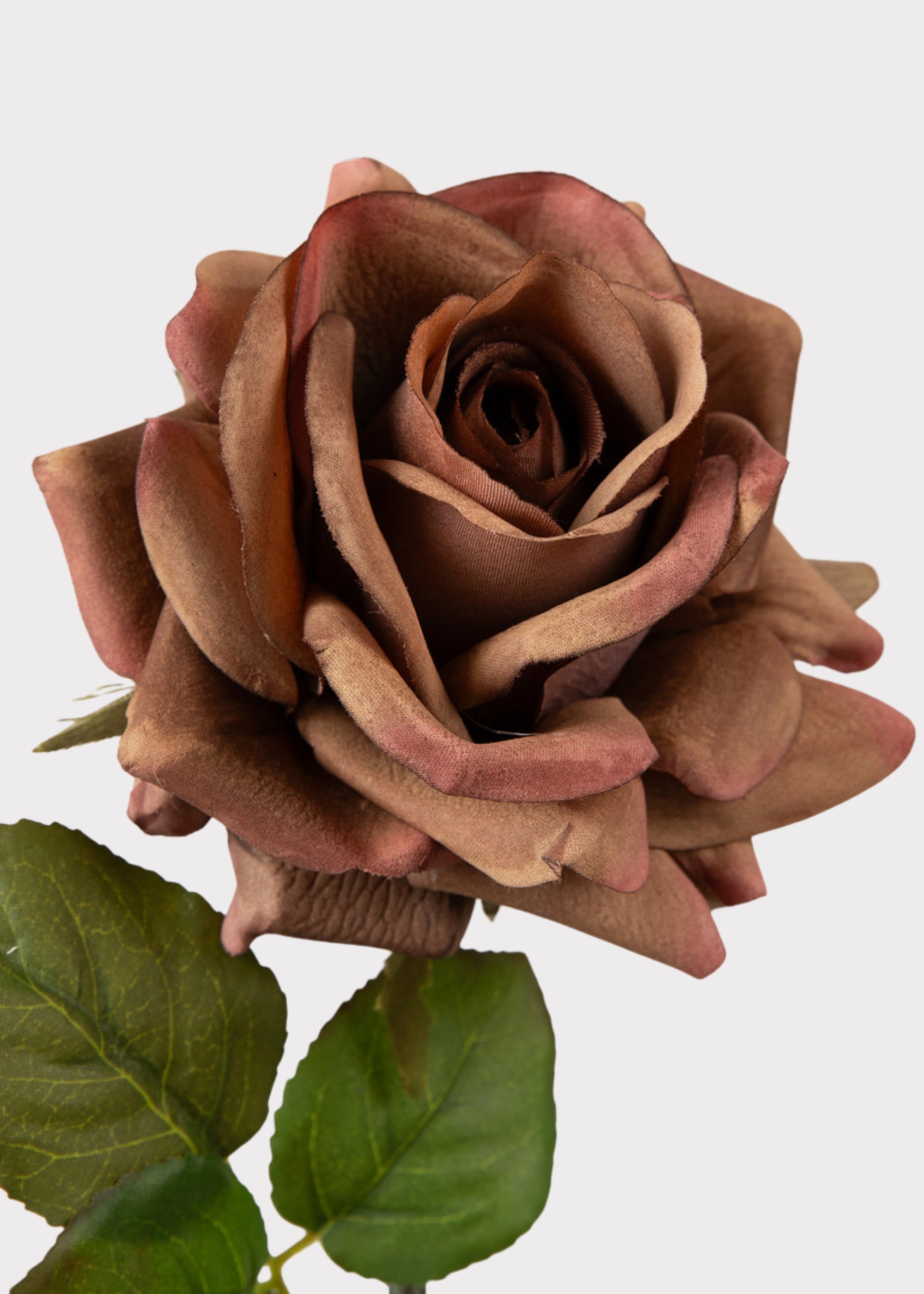 Brown Real Touch Artificial Rose Stem for Wedding Decor