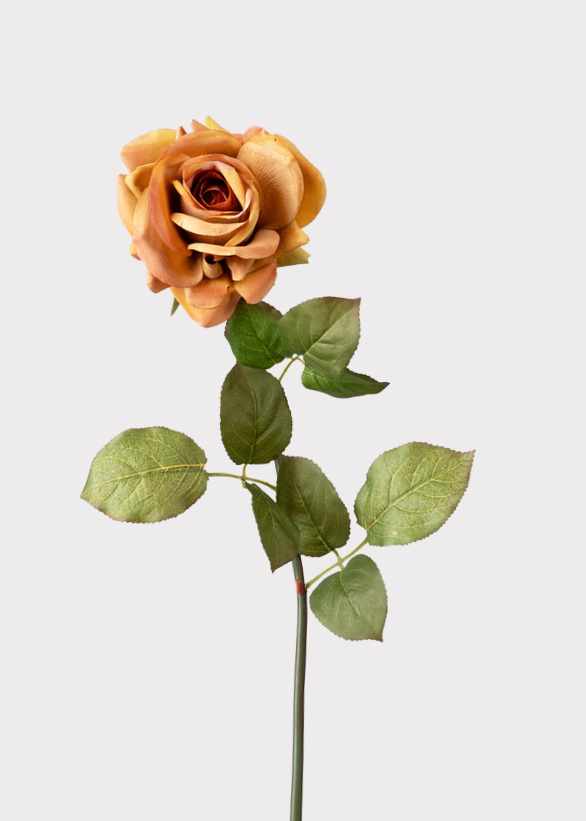 Orange Real Touch Artificial Rose Stem for Vase Styling